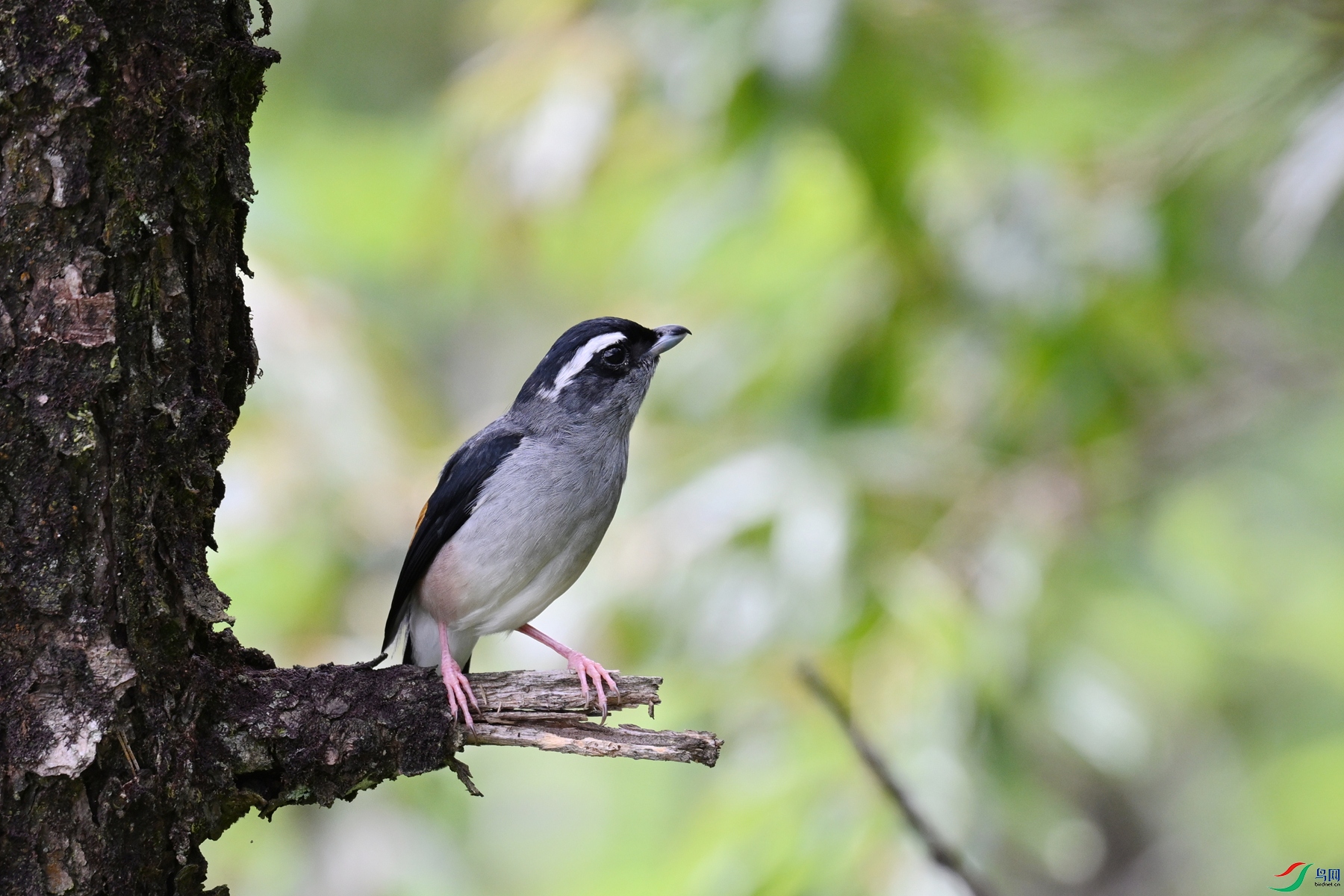 DSC_1466.JPG