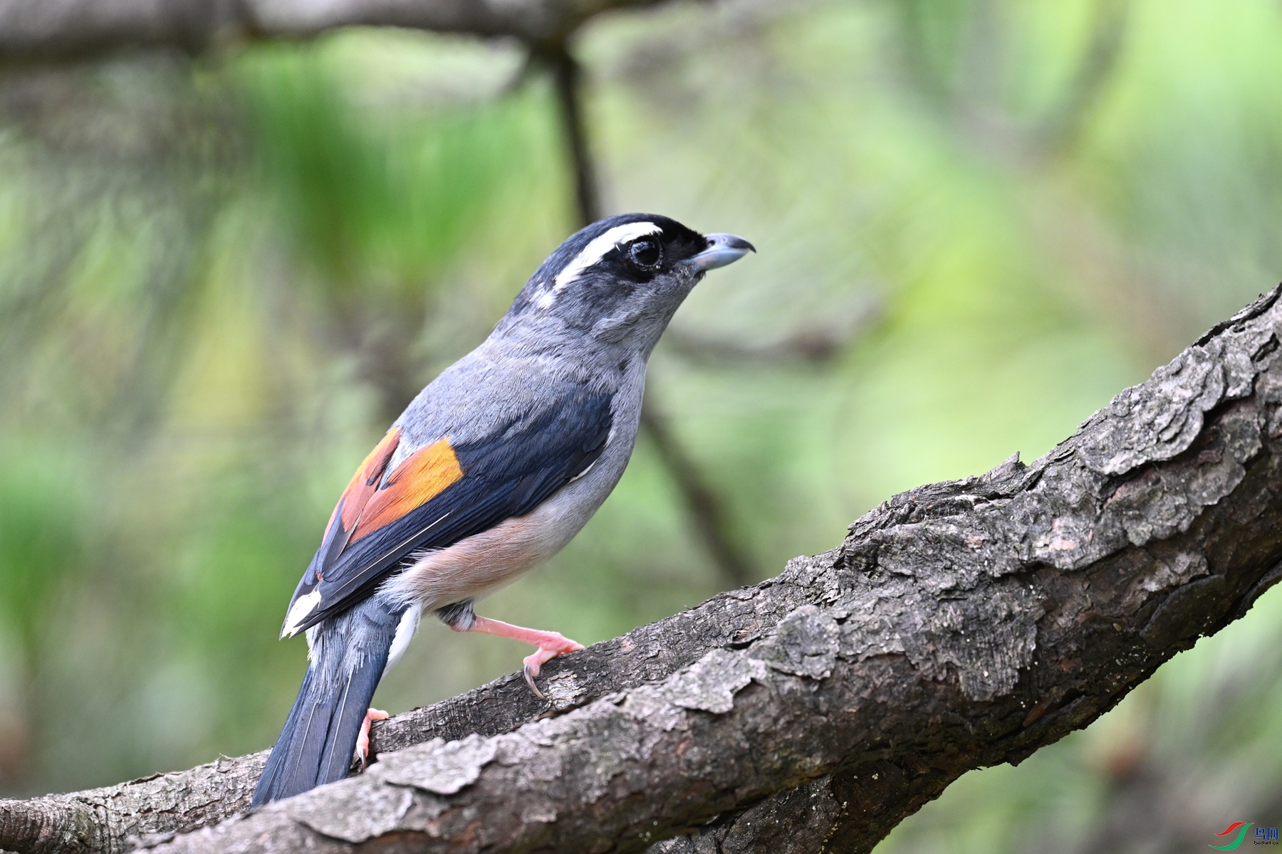 DSC_1509.JPG