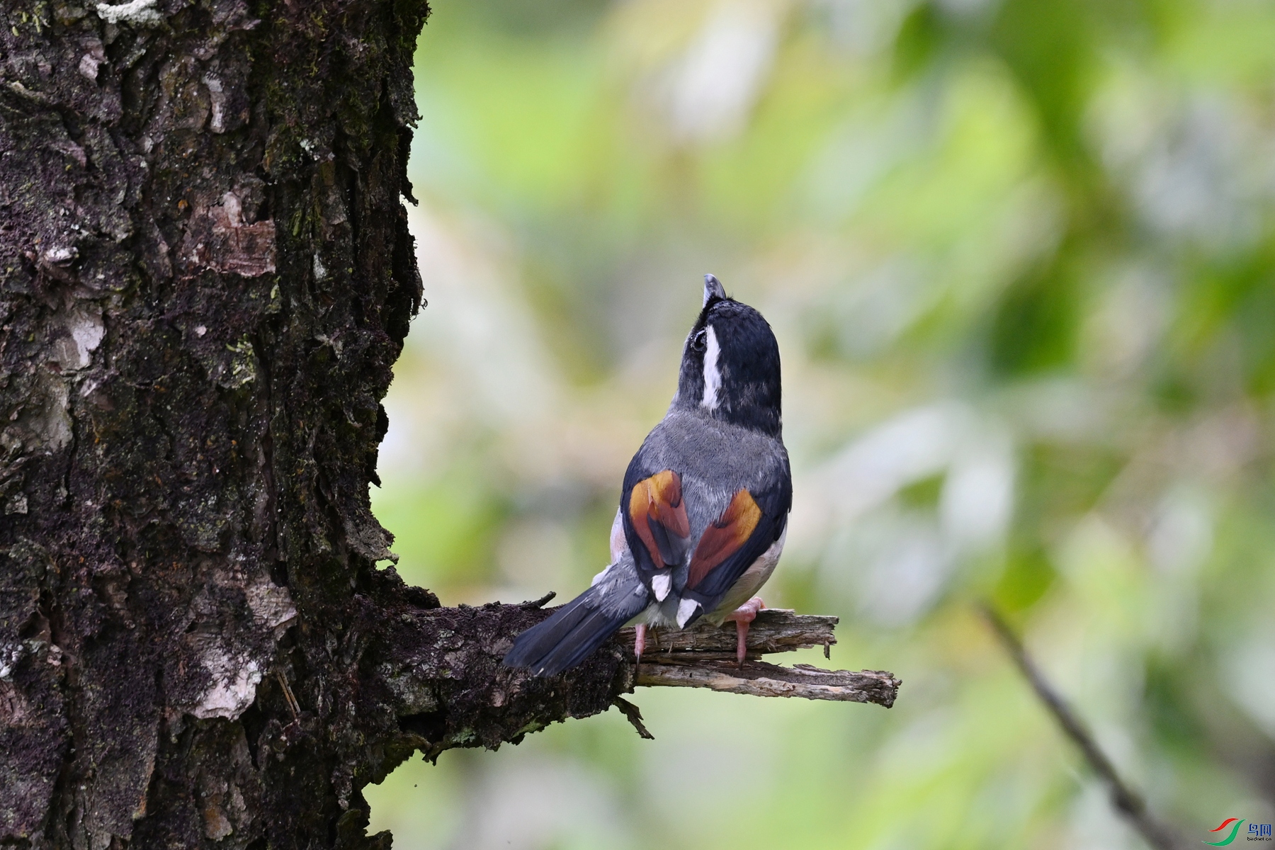 DSC_1469.JPG