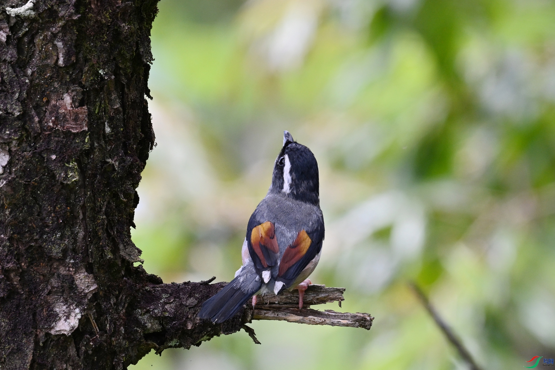 DSC_1471.JPG