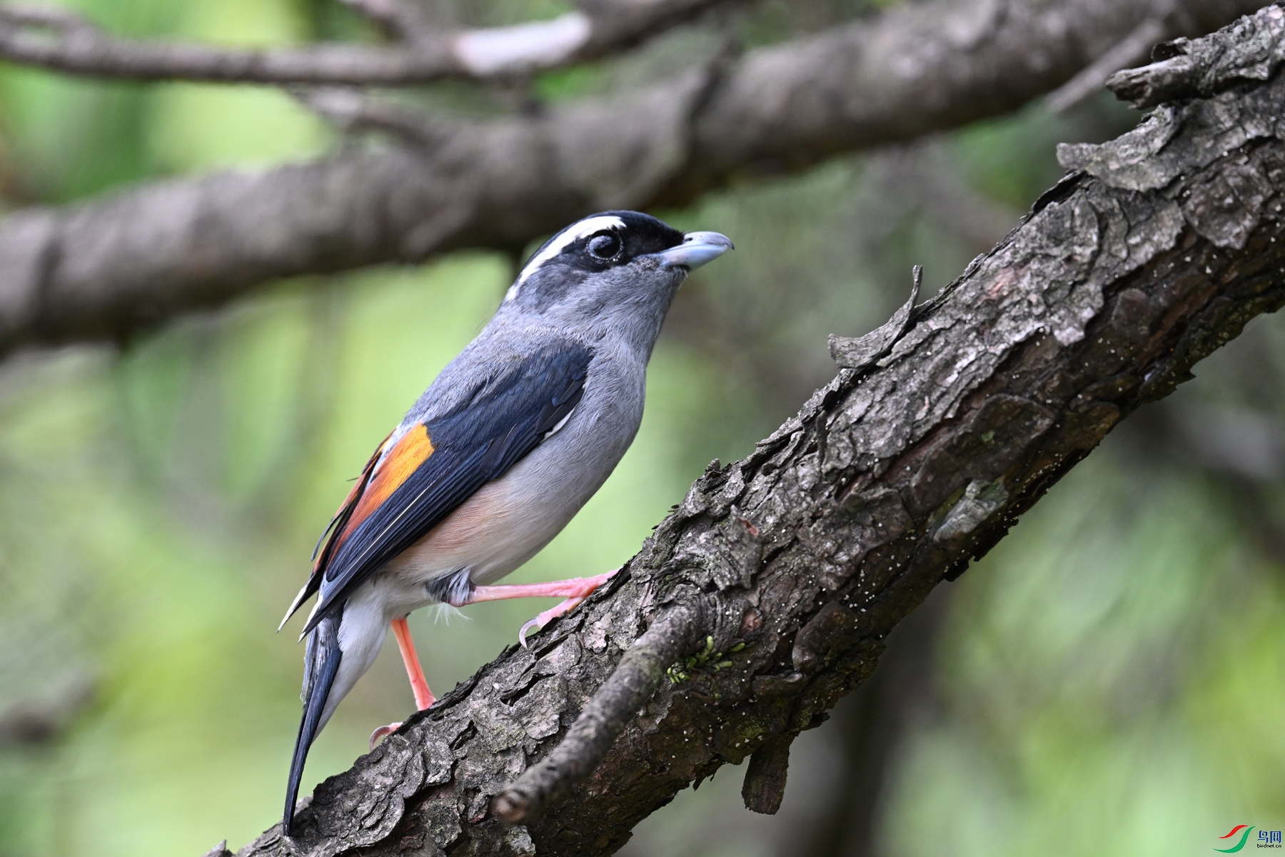 DSC_1488.JPG