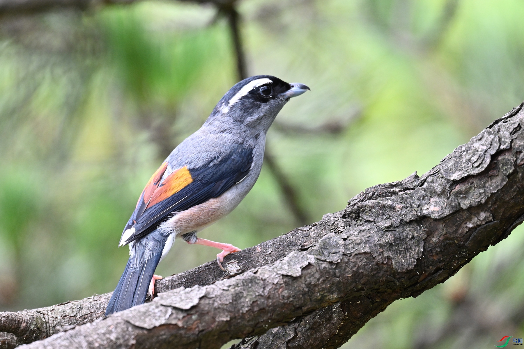 DSC_1506.JPG