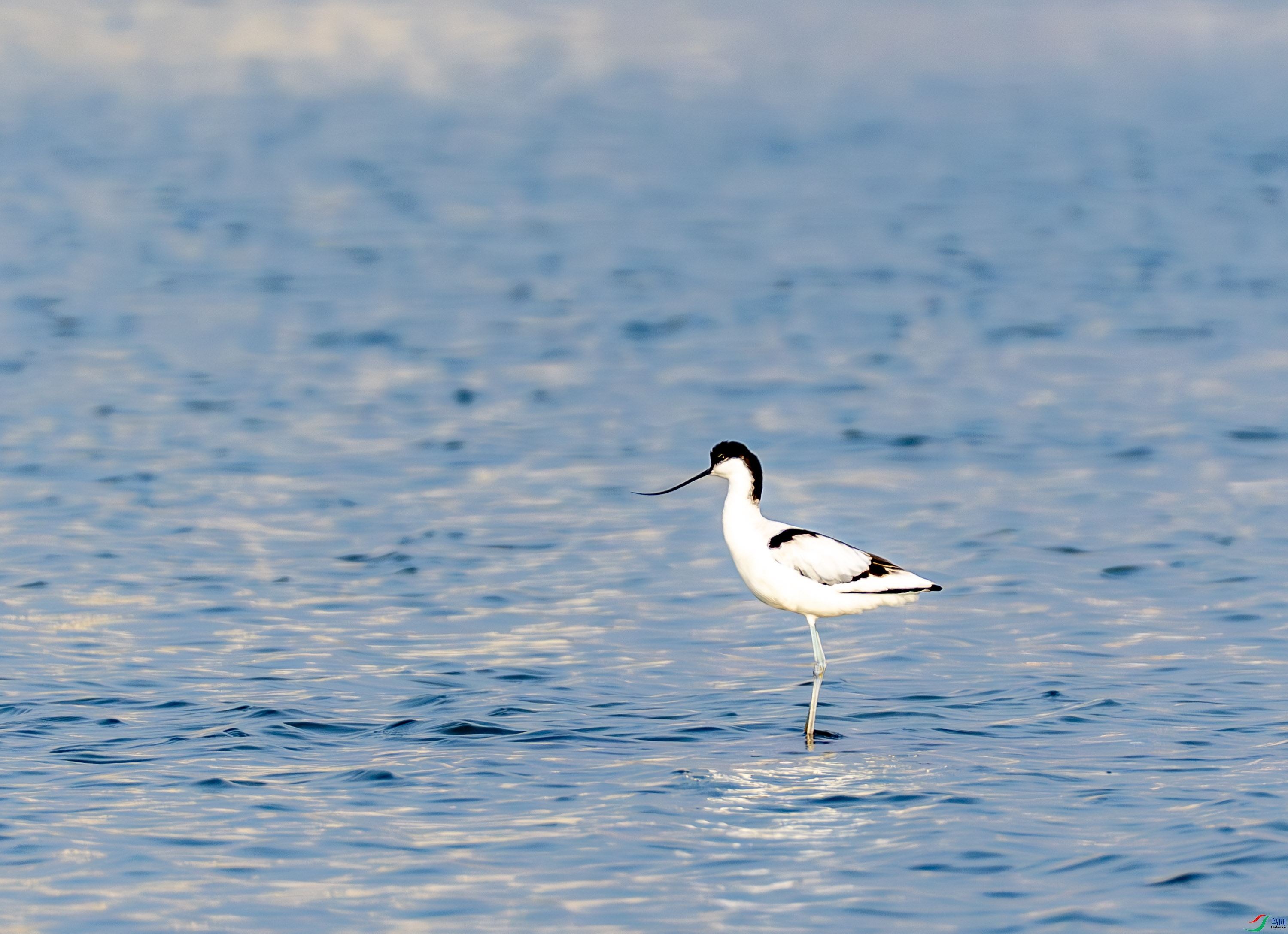 ������-1 (1 - 12).jpg