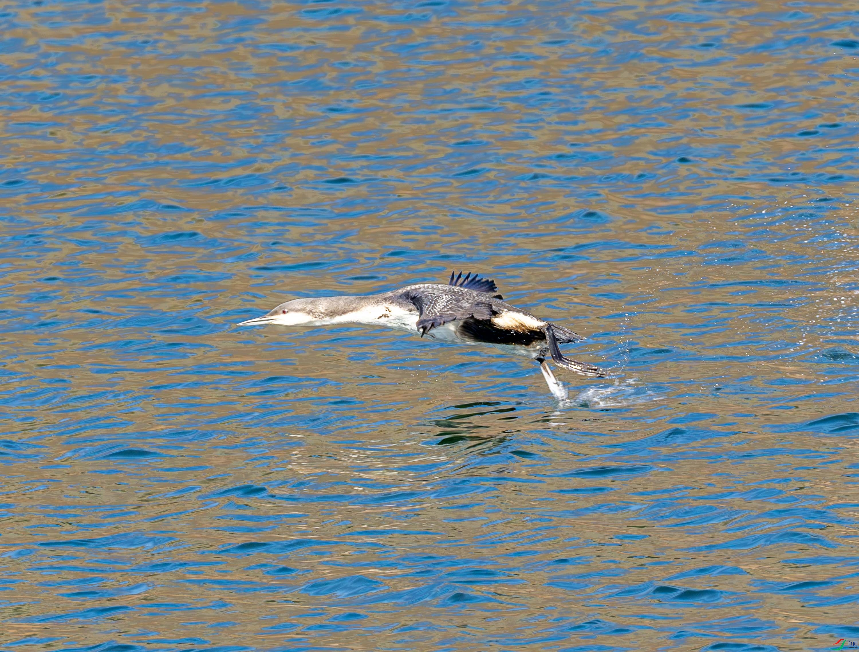 �ں�Ǳ��3-02 (2 - 17).jpg