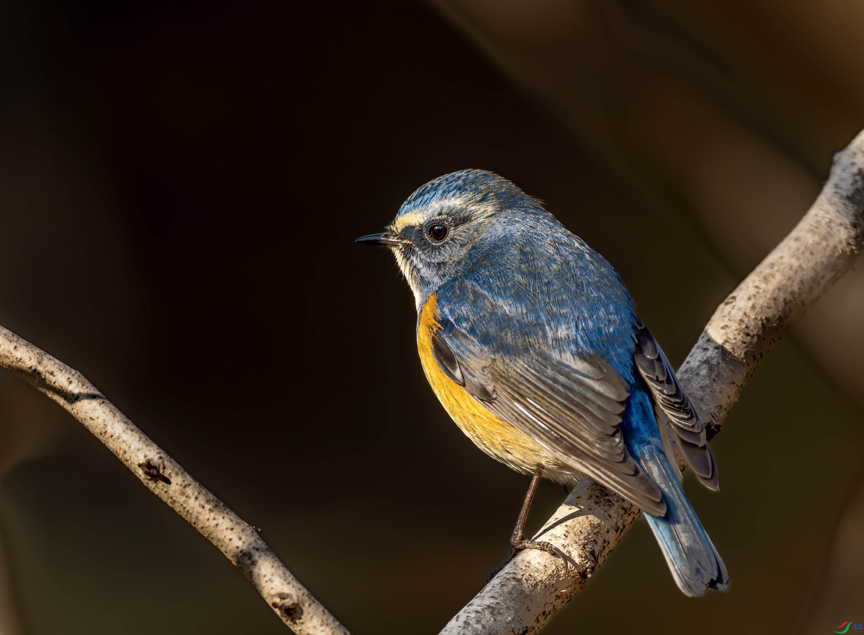 ��в��β�-01 (4 - 7).jpg