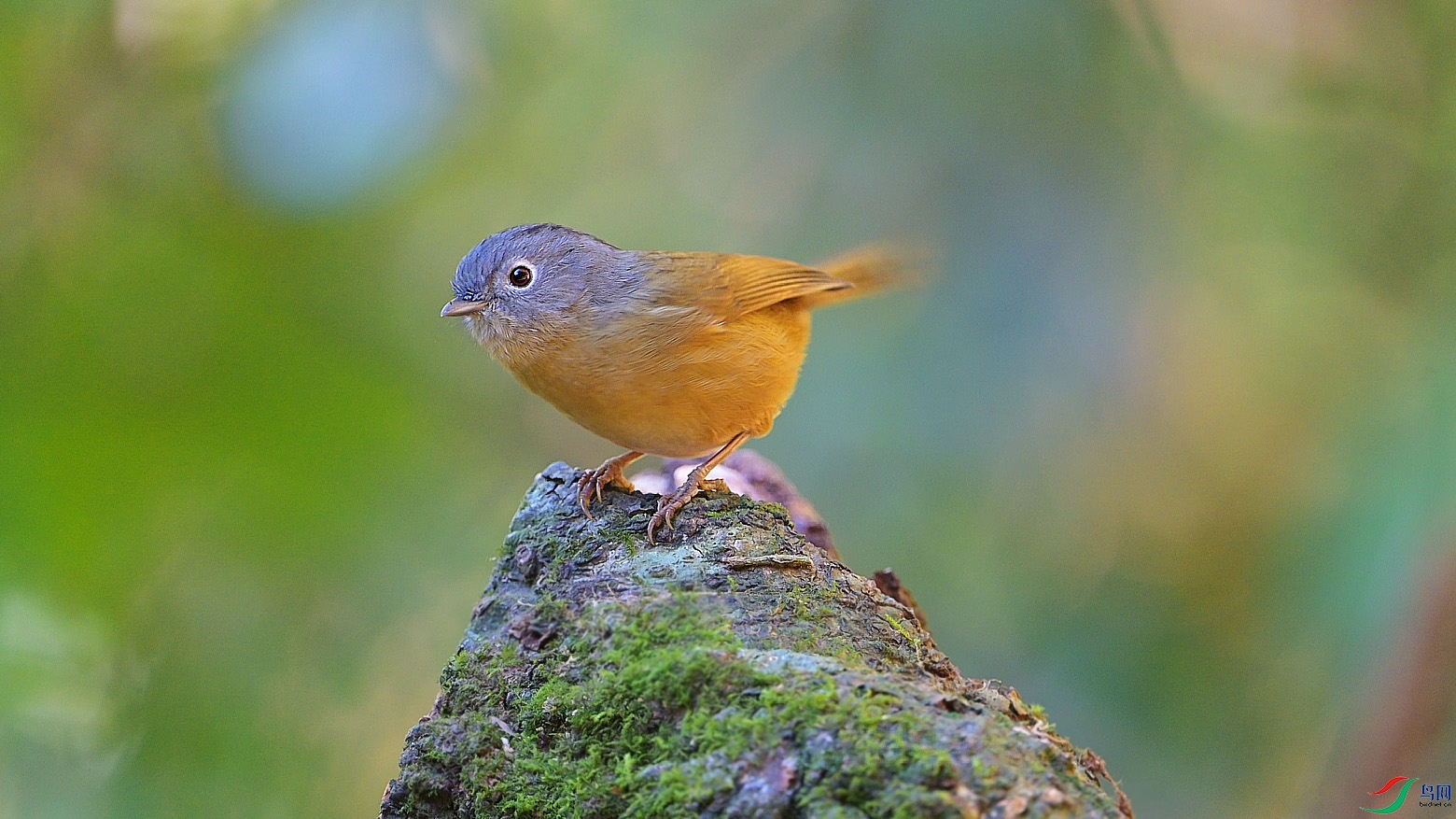 {FE6032ED-2A34-4C8E-B982-F61C1DCCB5FB} ����.jpg