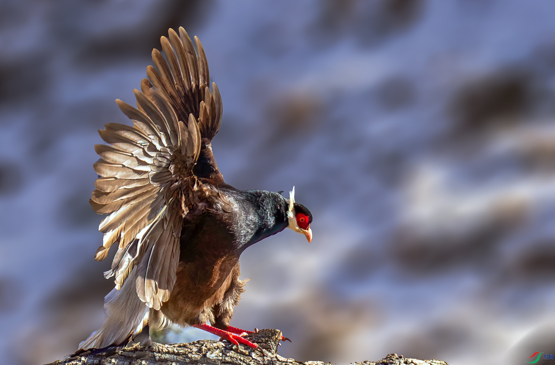 _07A0929 ����-Sh----1 .jpg