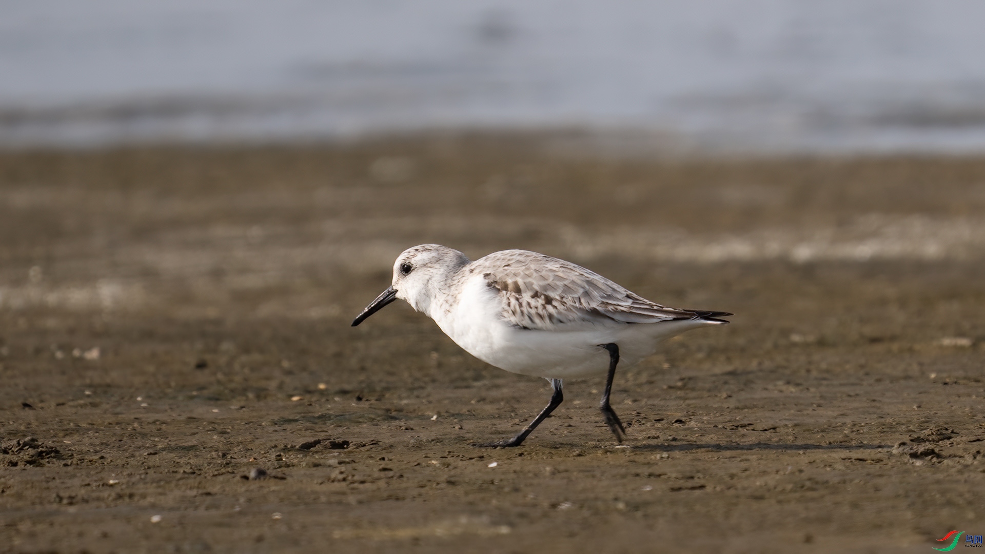 DSC01201 ����.jpg