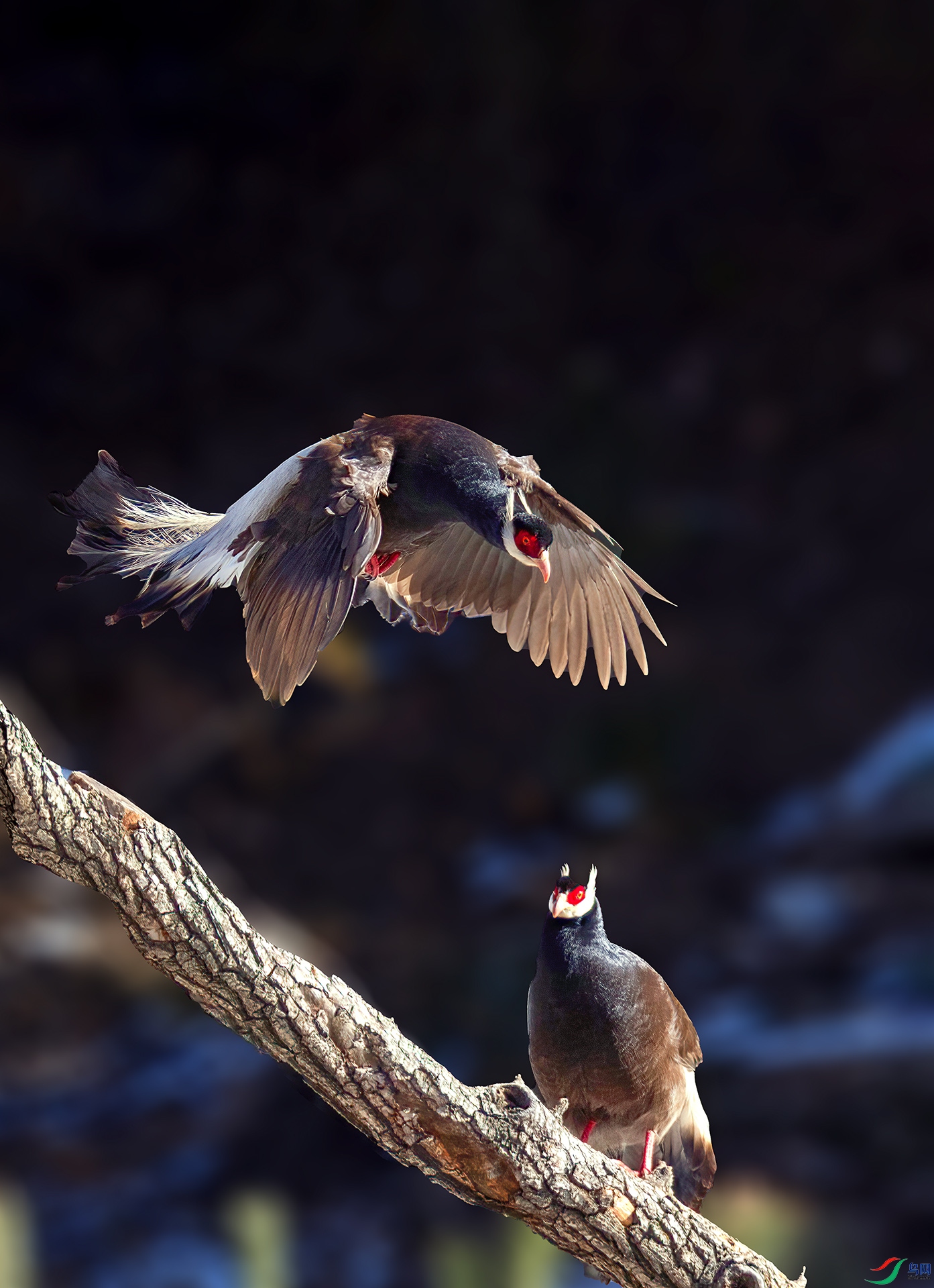 _07A1045 ����-Sh----1 .jpg