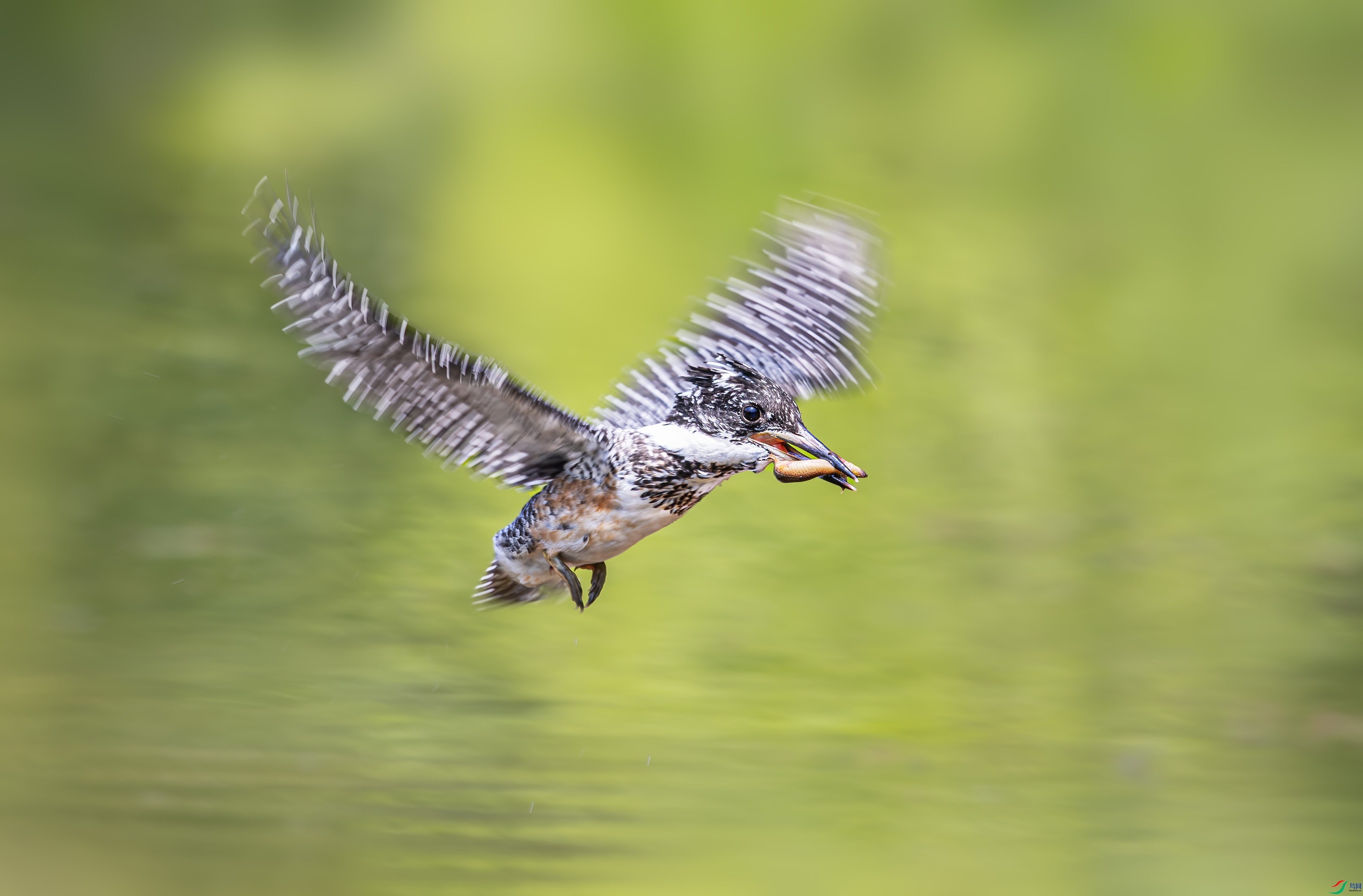 0G6A1851-�� .jpg