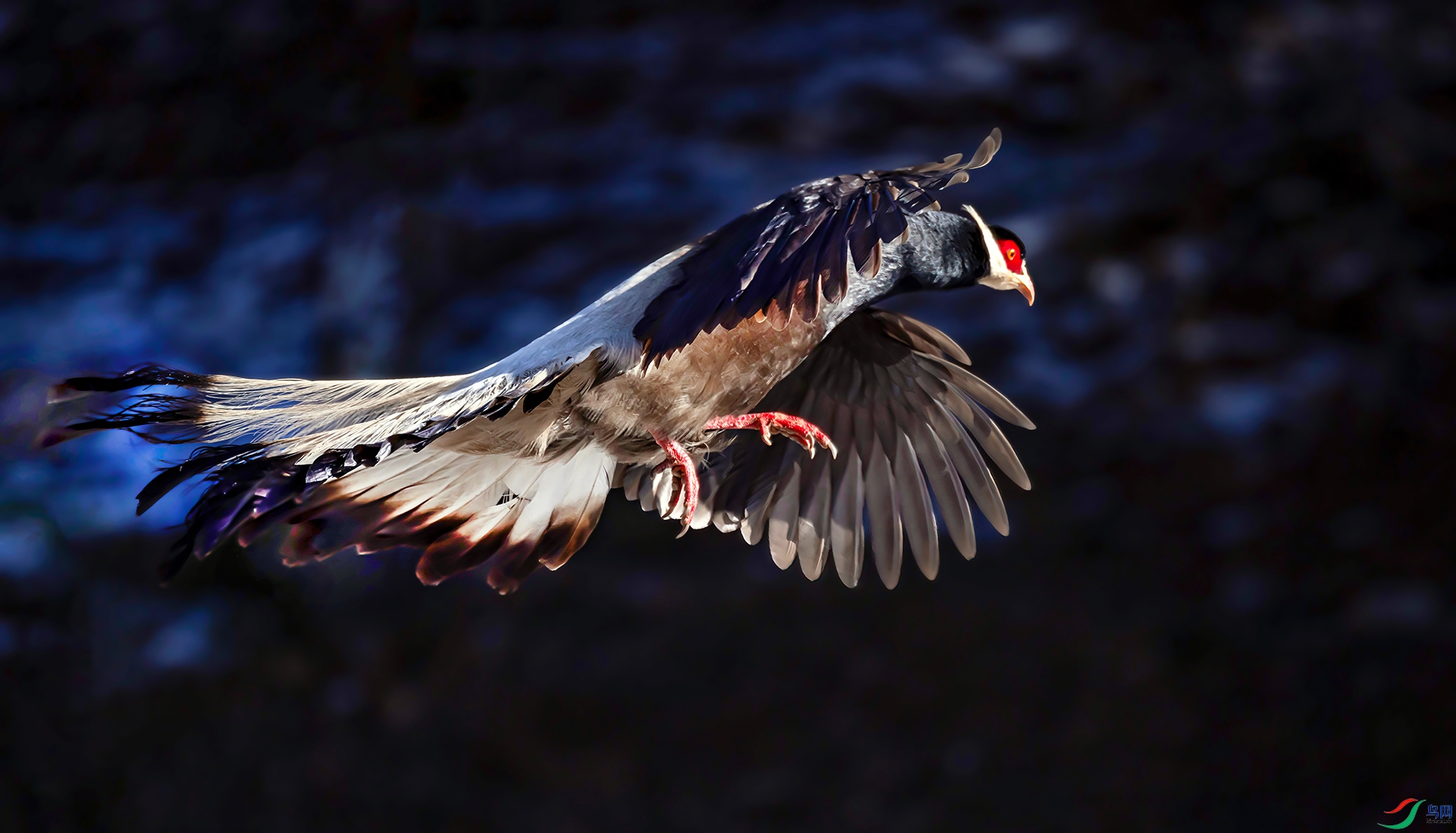 _07A1165 ����----01-Sh----1 .jpg