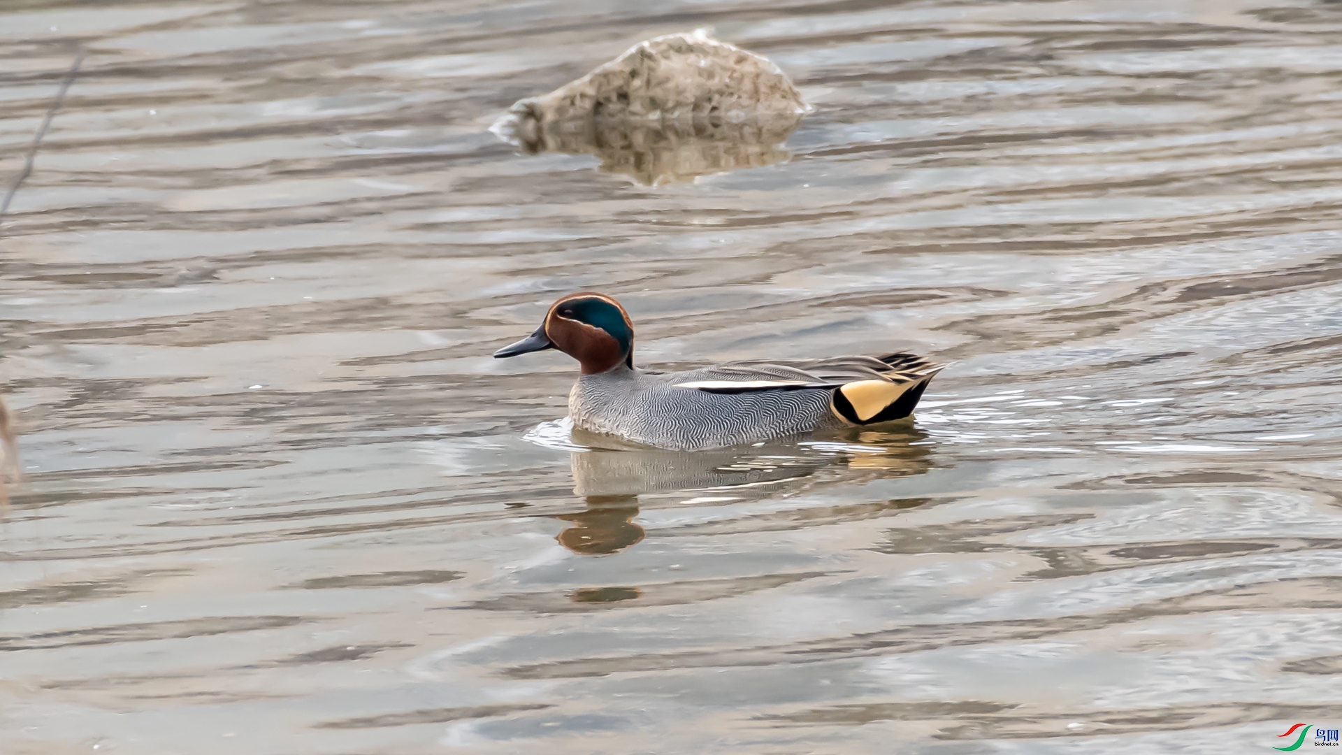 _DSC6688.jpg