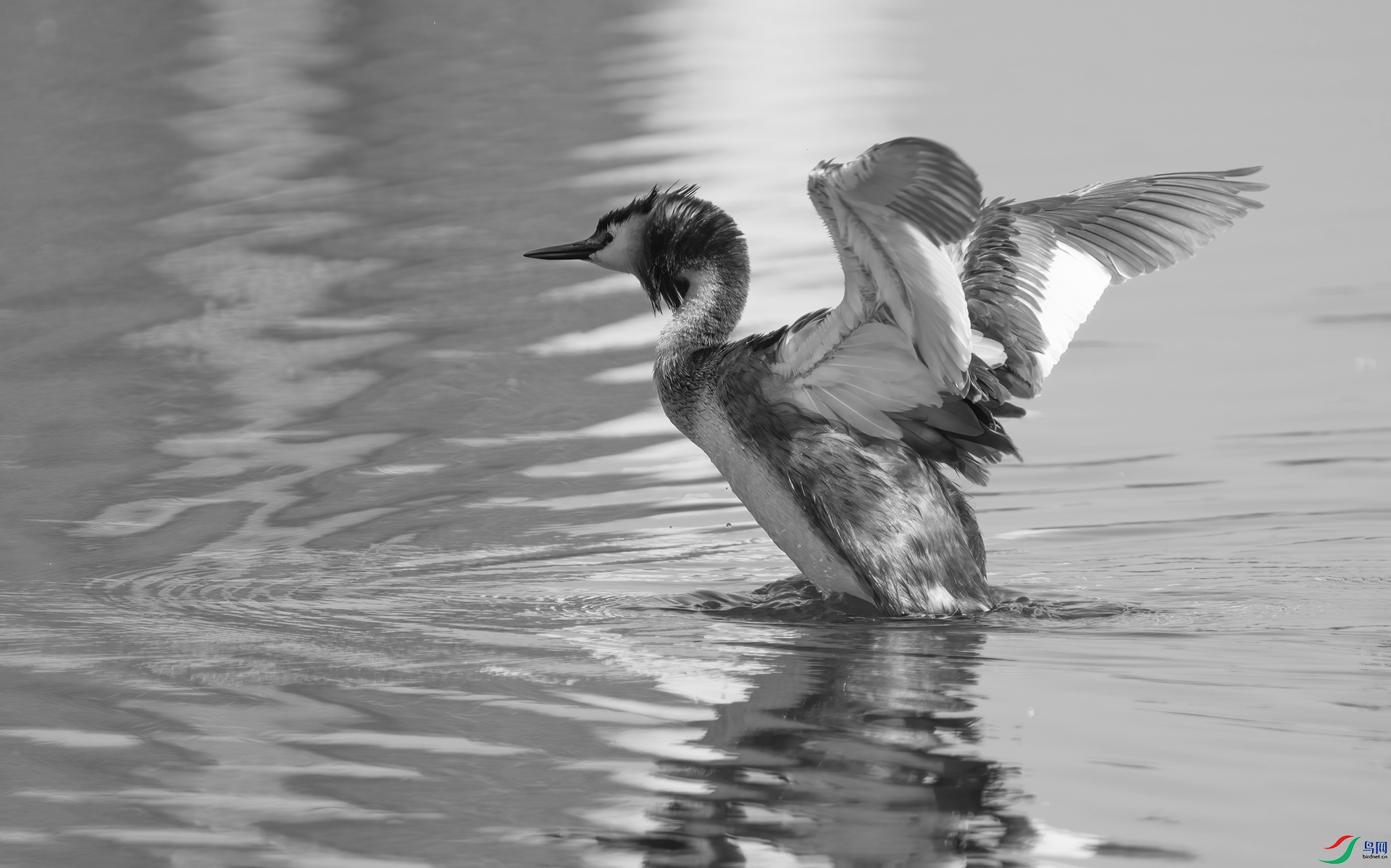 DSC00463 ����.jpg