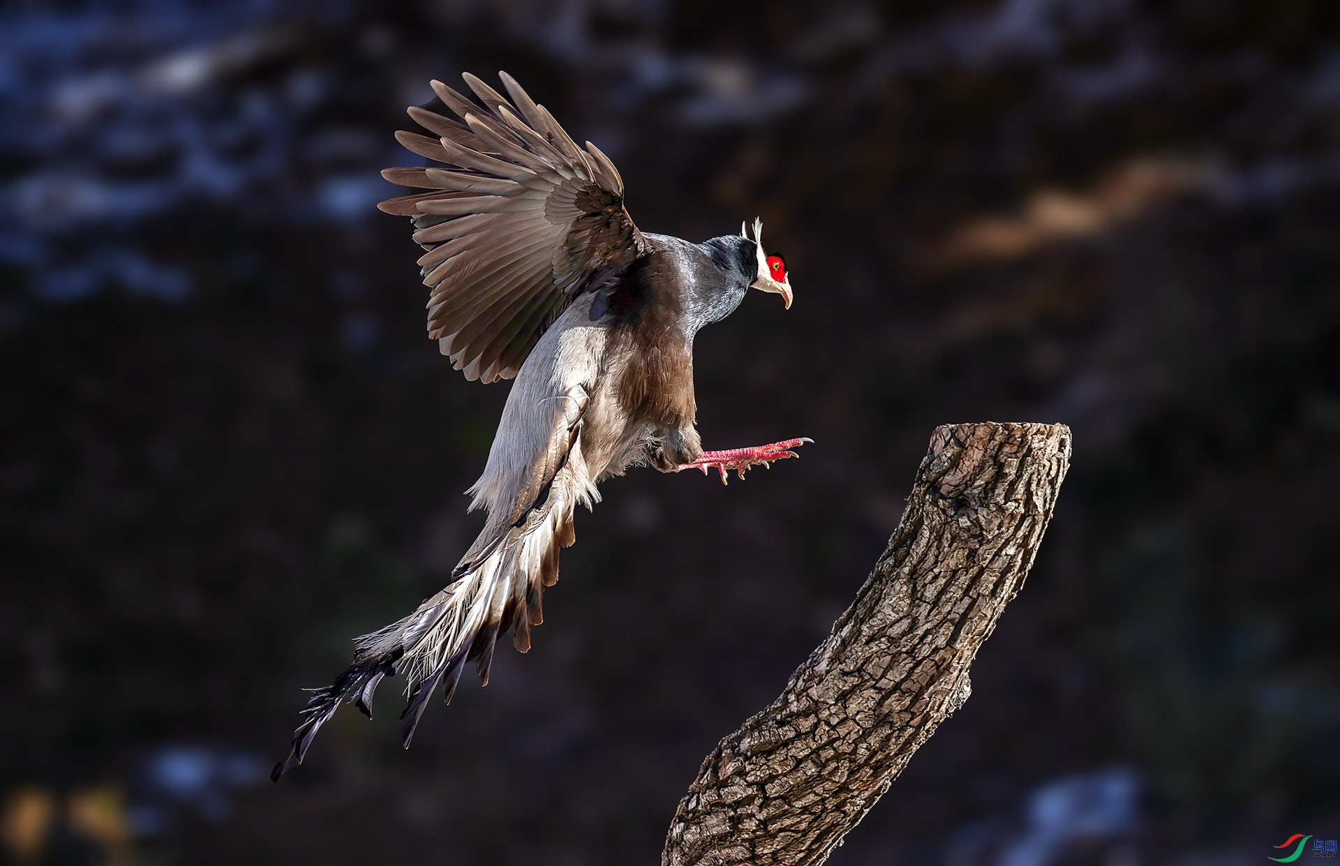 _07A1541 ����-Sh----1 .jpg