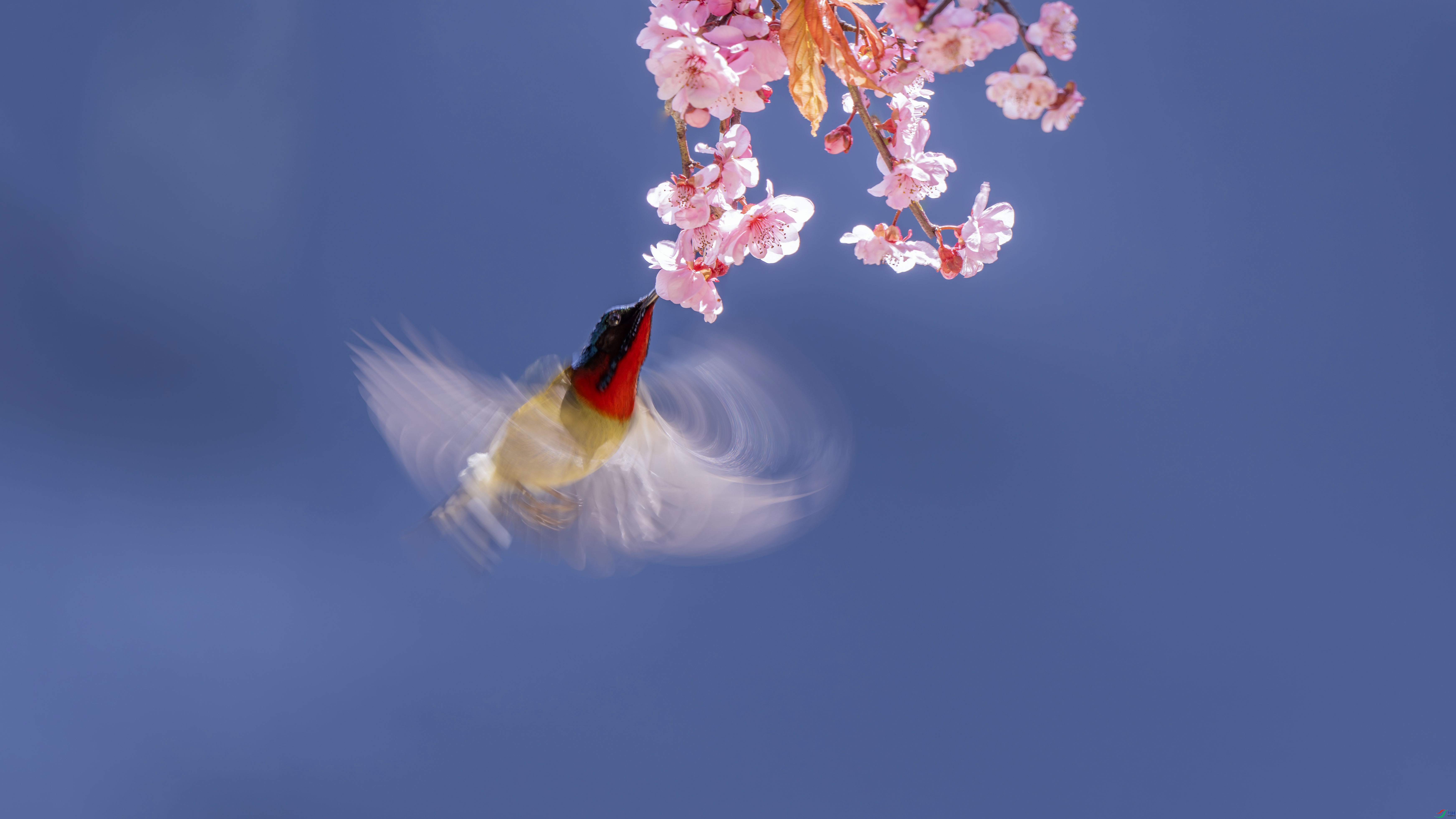 _DSC6617 ���� 2.jpg