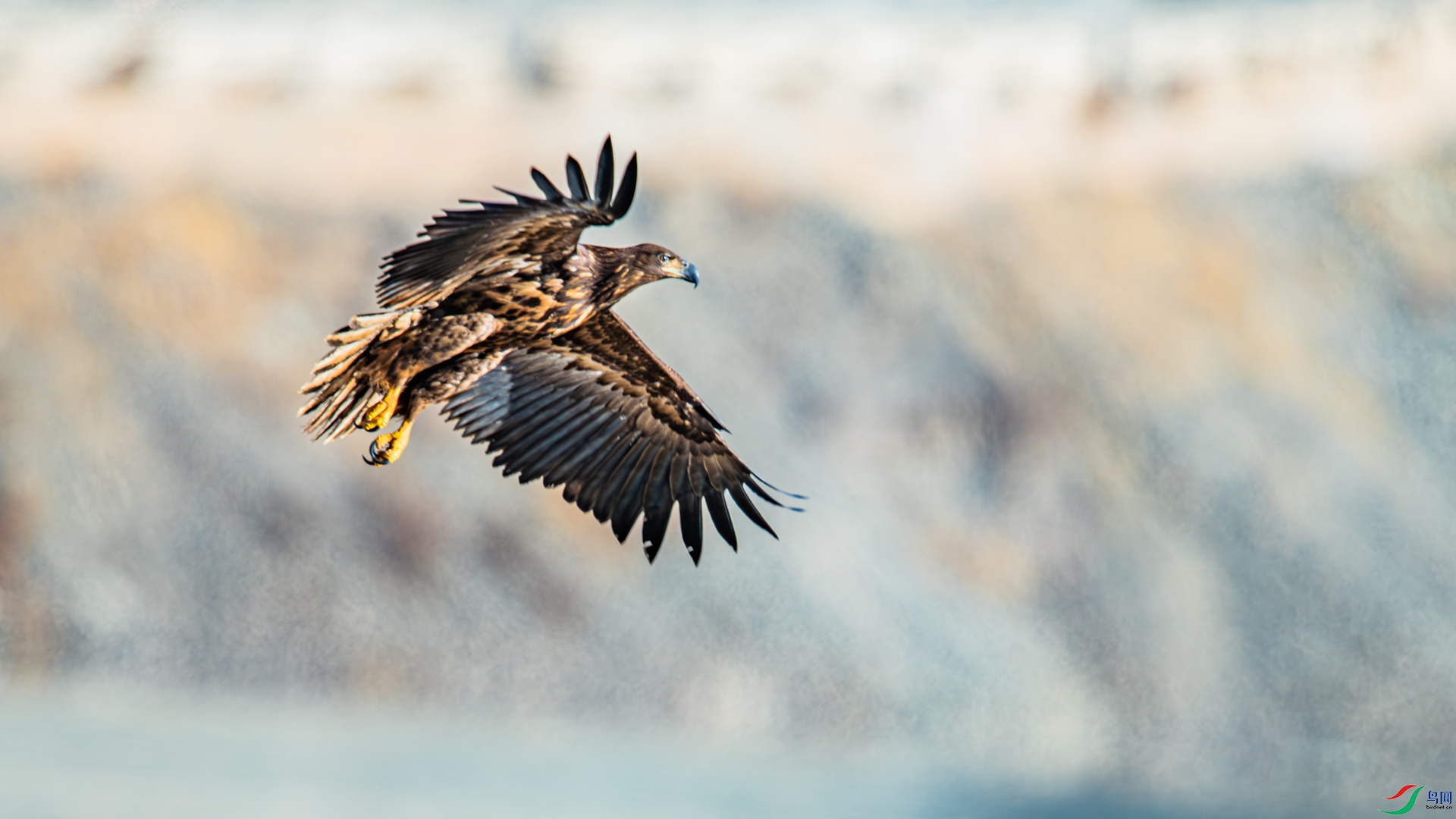 _DSC3679-1_����.jpg