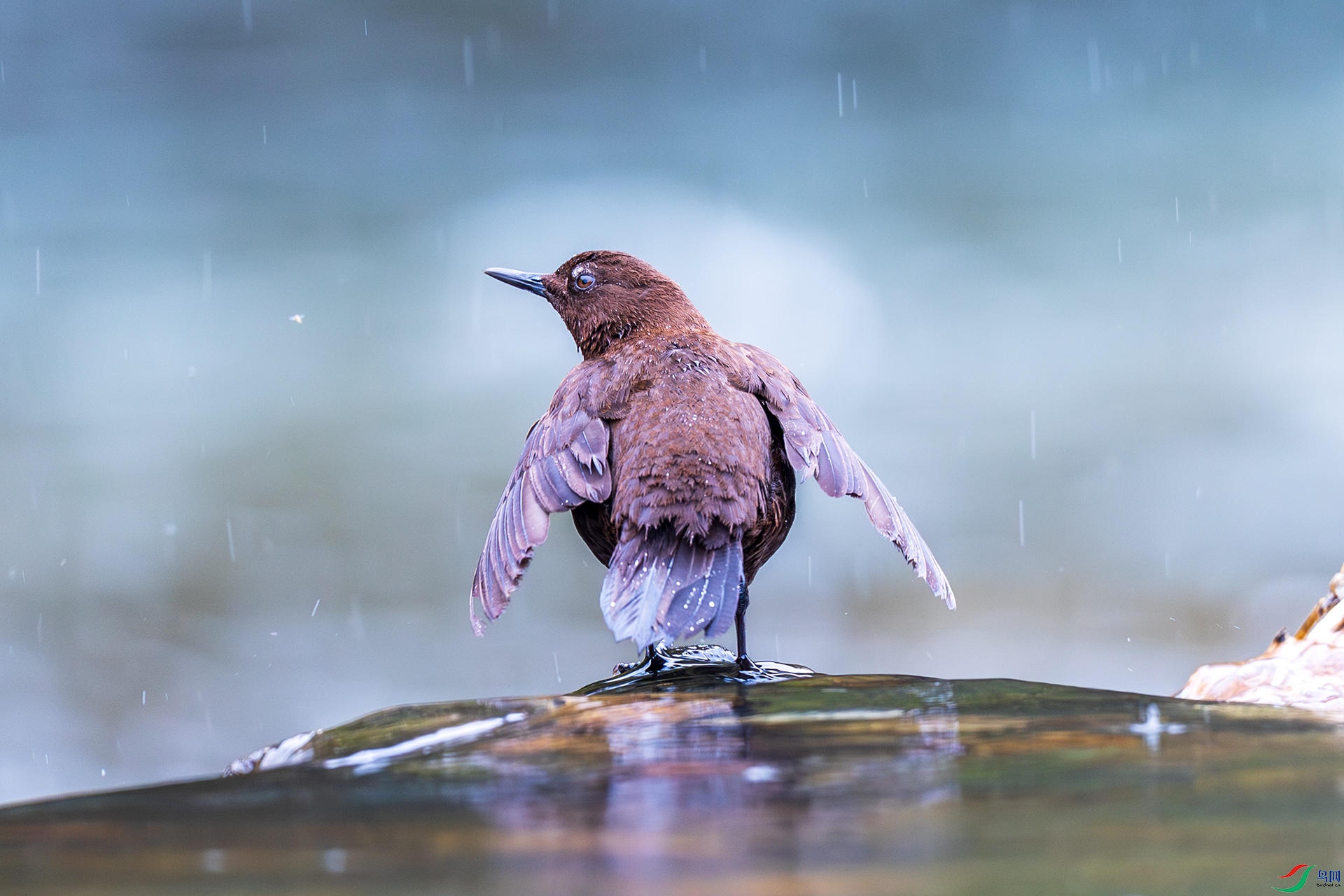 _F9A2813 ����.jpg