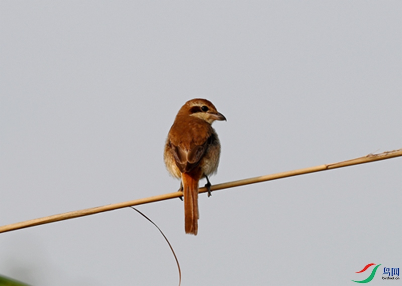 DSC_3089.JPG