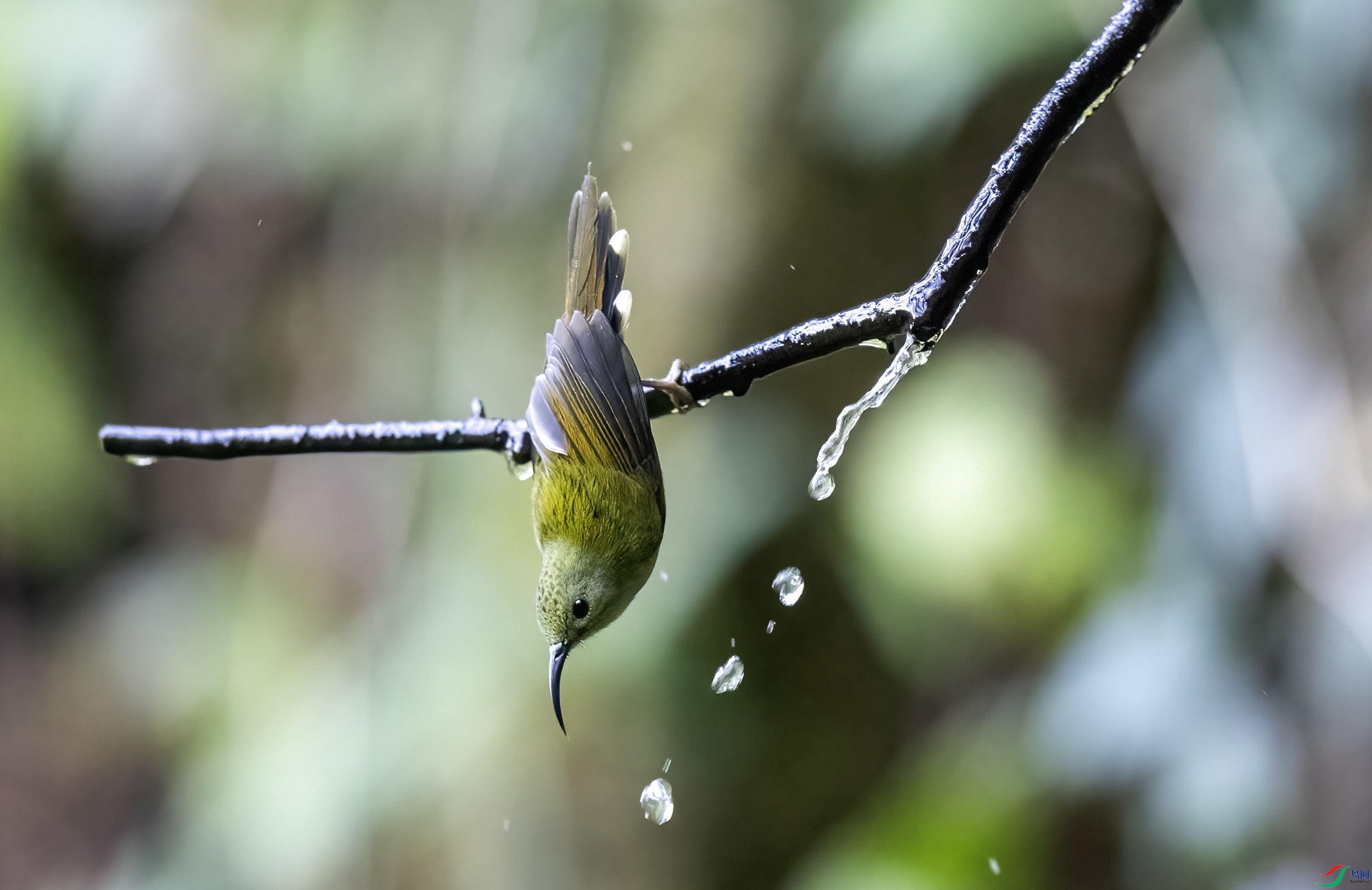 AC3I1155 ����.jpg