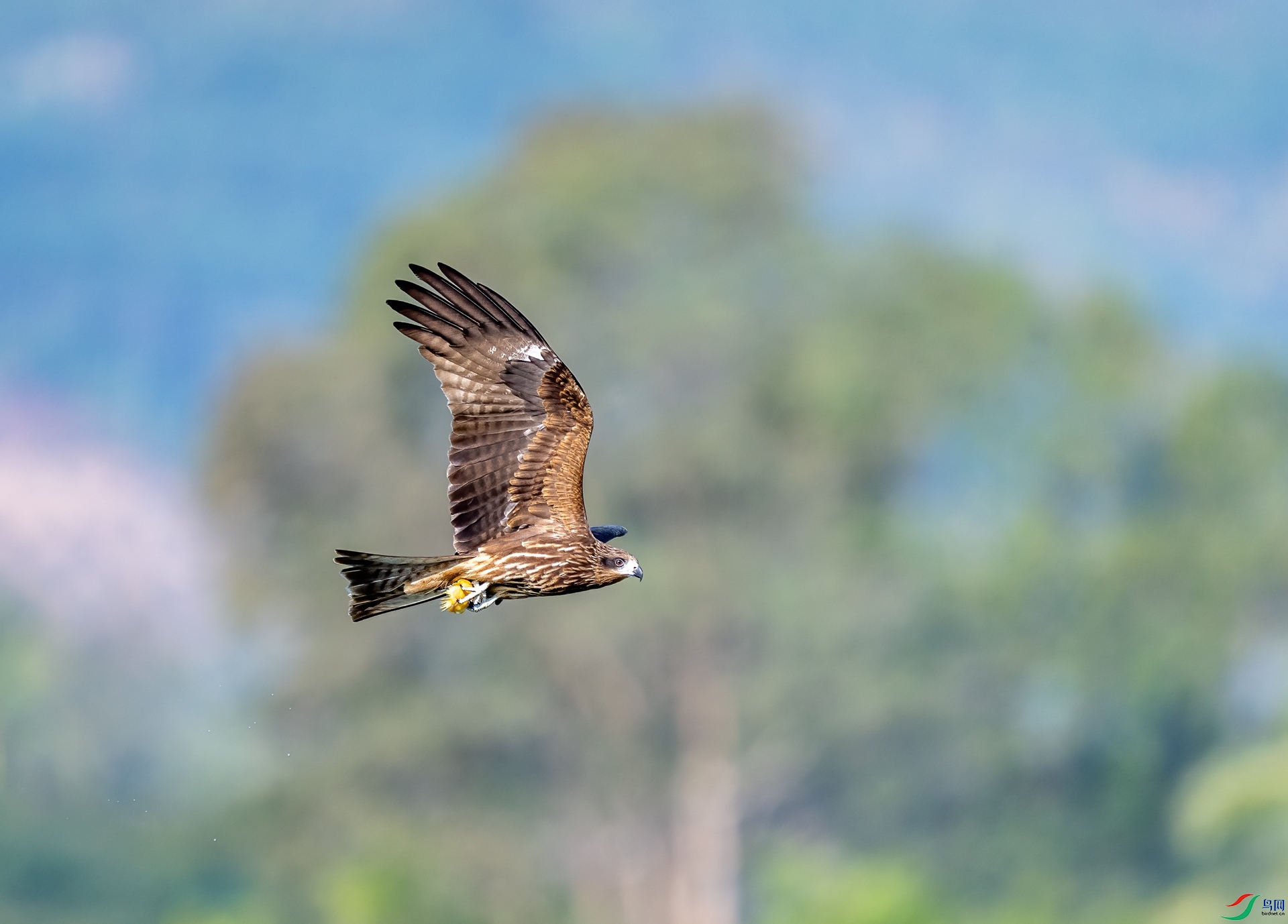 DSC_1278-1.jpg