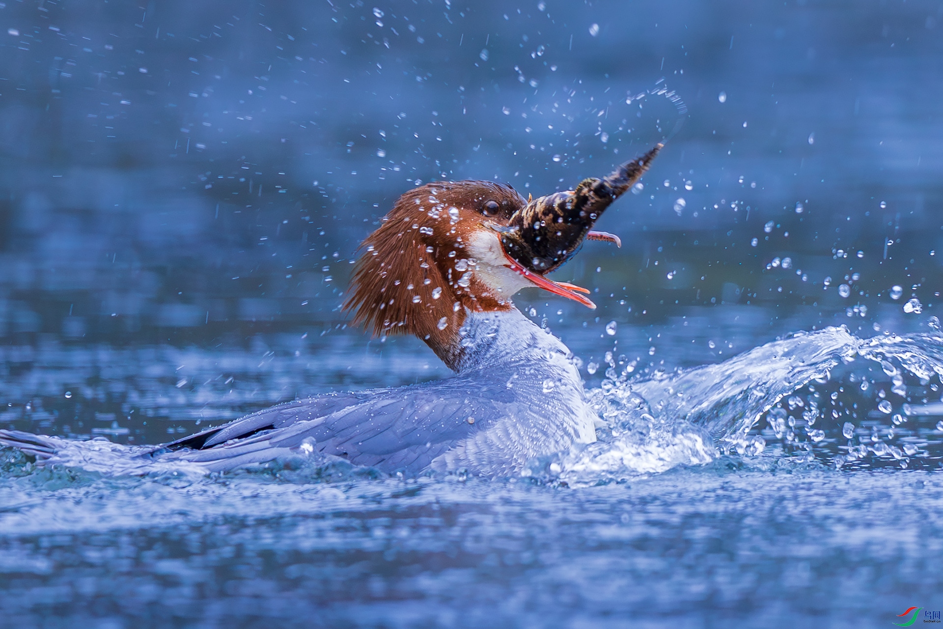 _F9A3569 ����.jpg