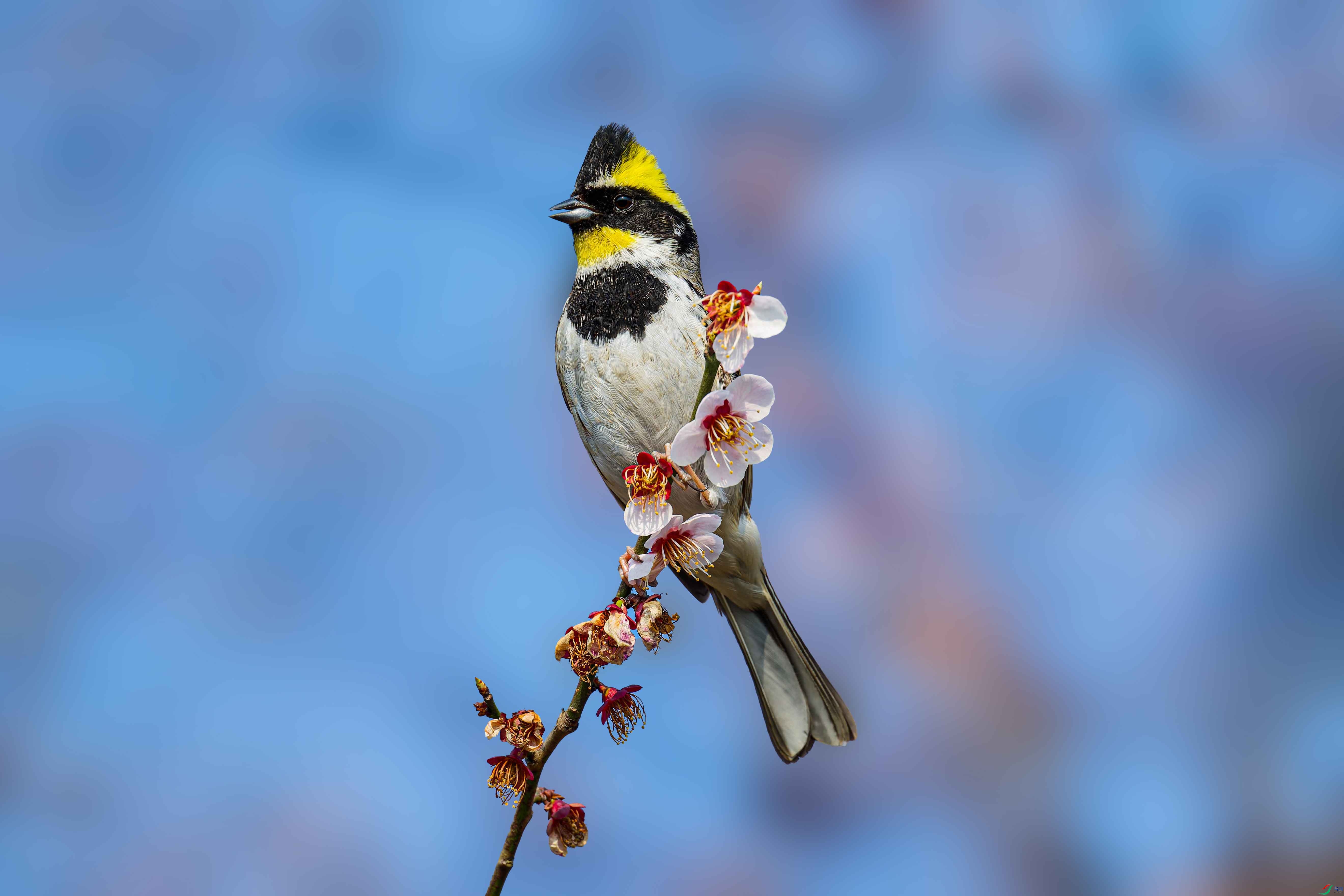 DSC_5766_DxO ����.jpg