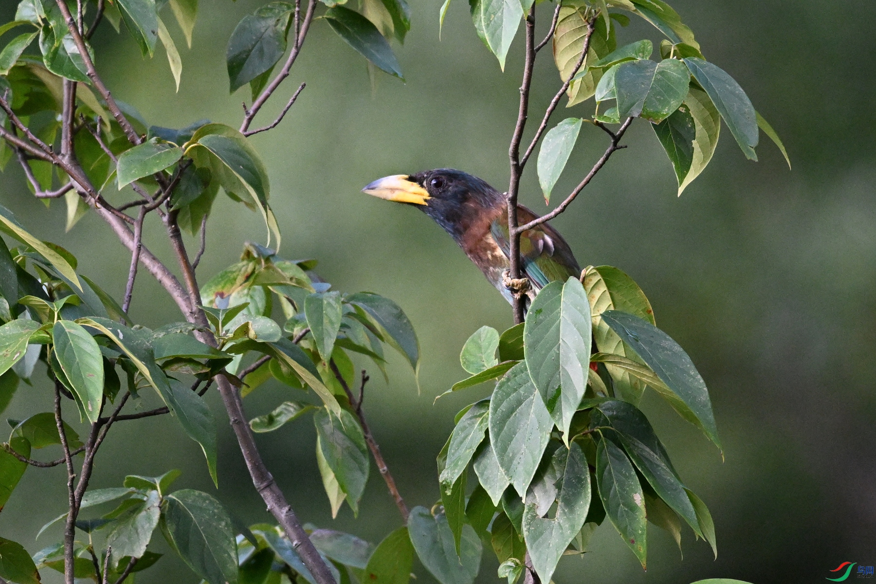 DSC_2479.JPG