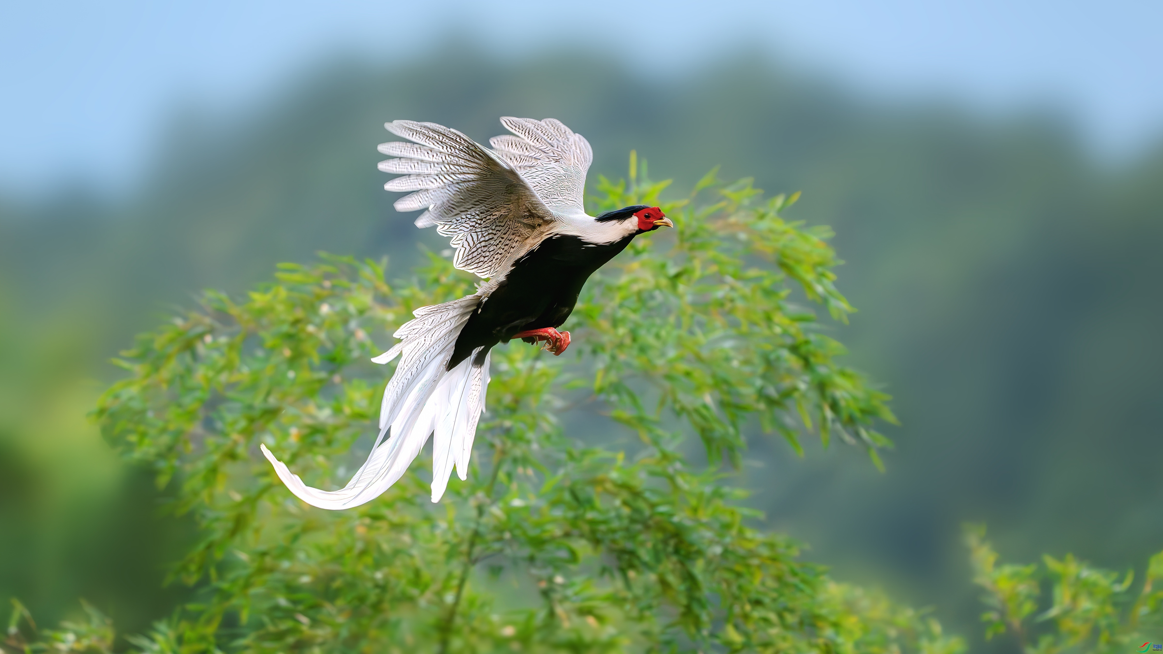 3.10 С�׺���ʦ��Ʒ  ��������  �ٻ�2026��3��10�հ�����ҳ����.jpg