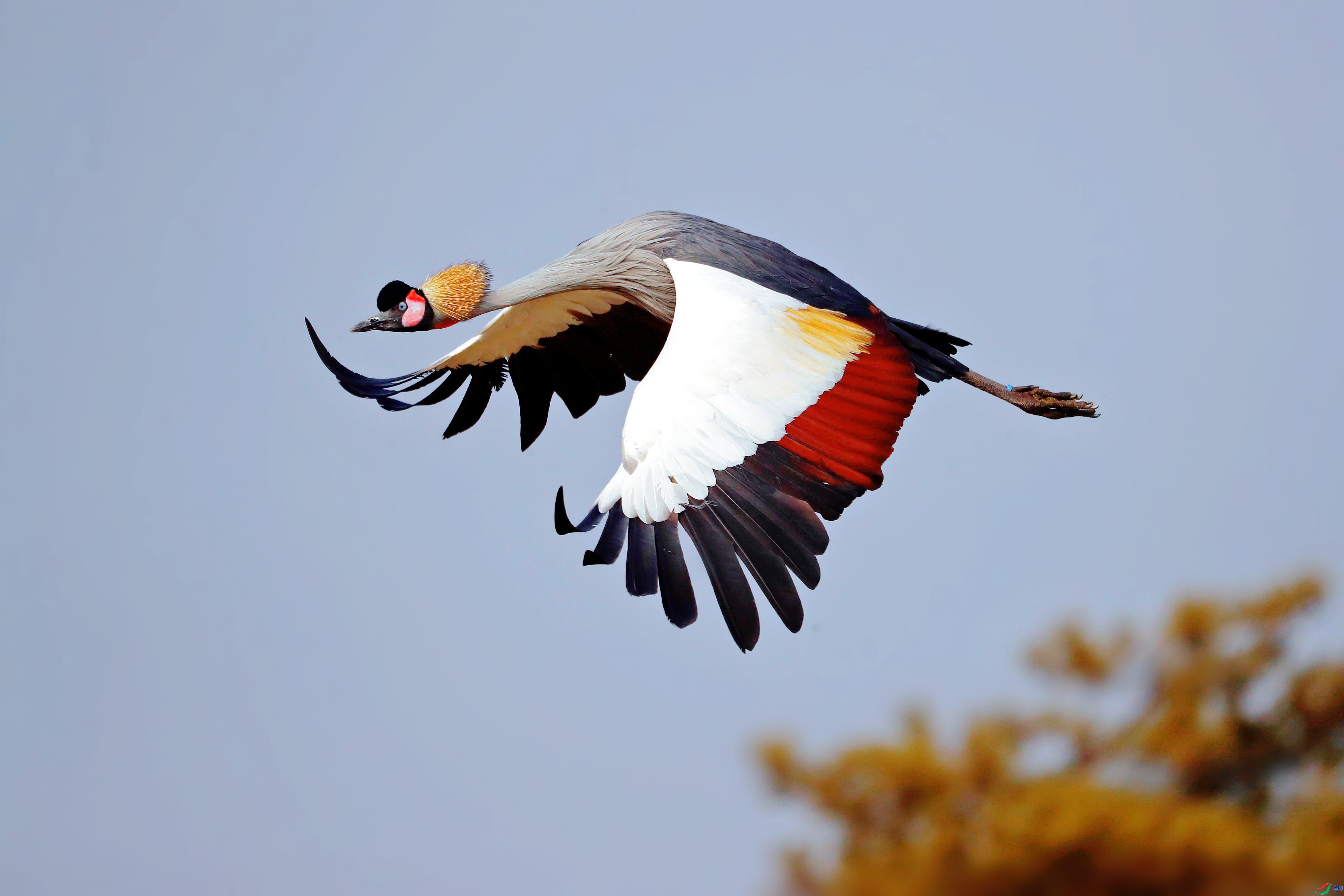 3.11 wjh2016  ��������������   �ٻ�2026��3��11�հ�����ҳ����.jpg