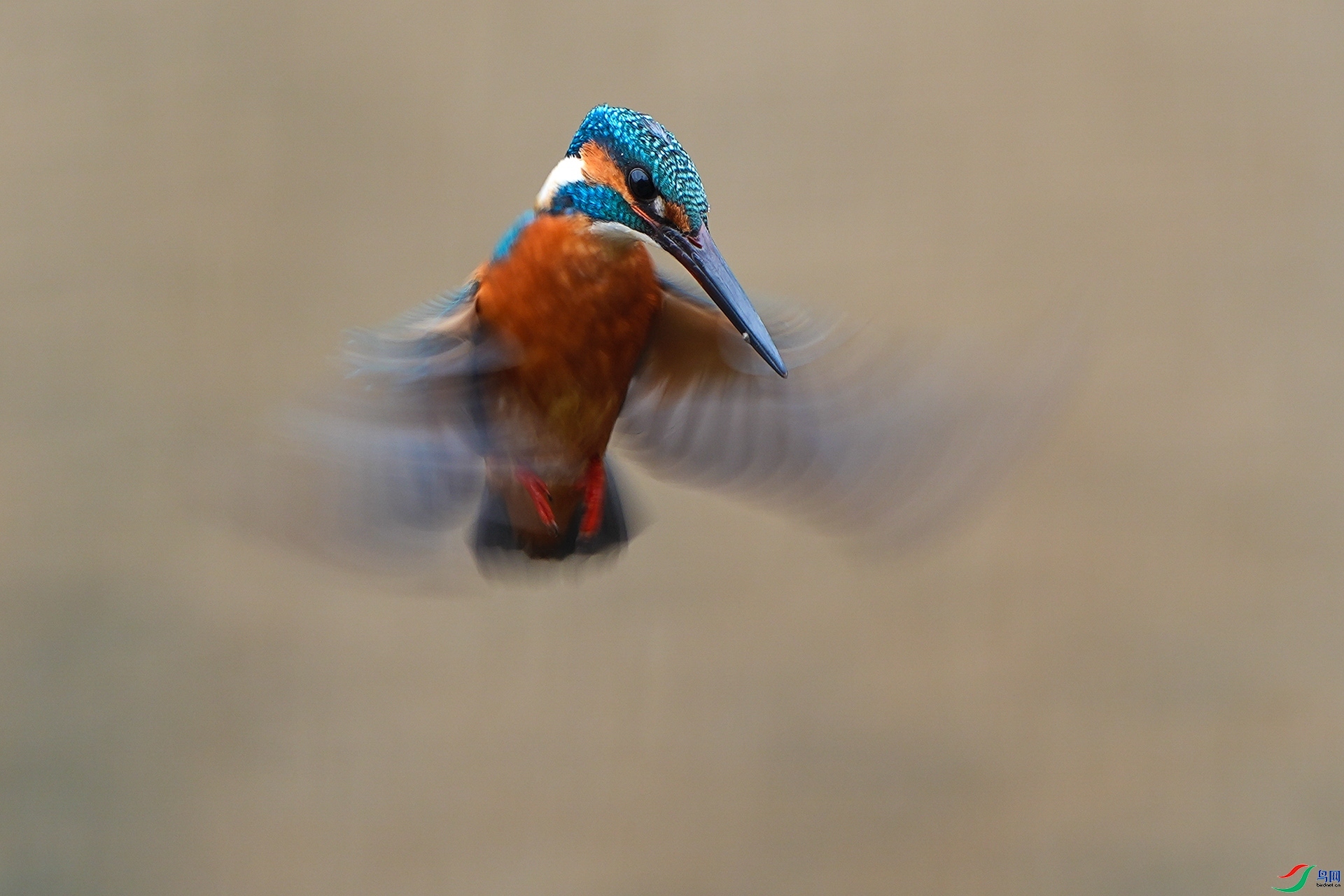 3.11 ��־����ʦ��Ʒ  ȹ��ƮƮ   �ٻ�2026��3��11����Ӱʦ��ҳ����.jpg