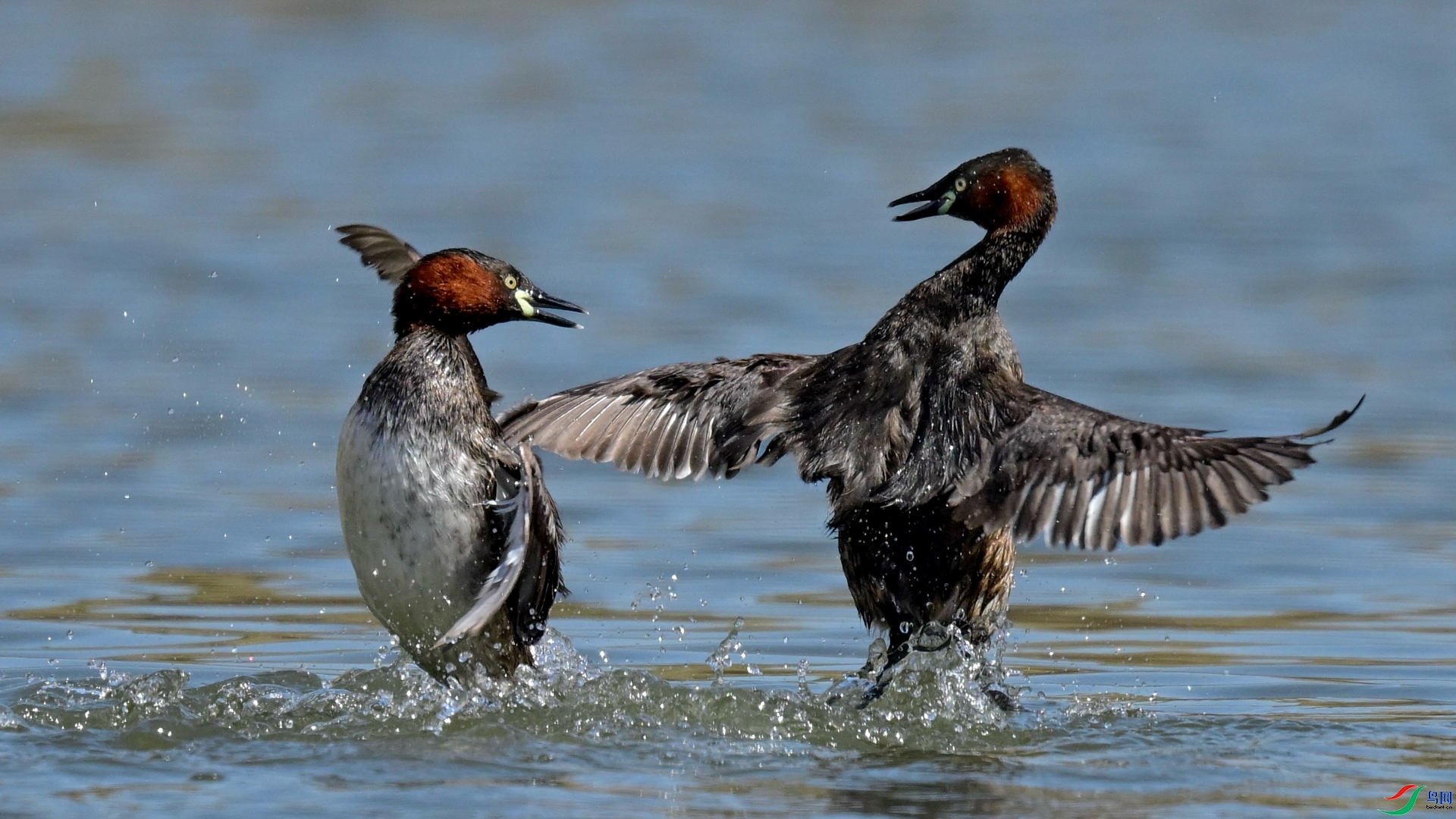 3.11 ������@��ʦ��Ʒ  СPT����   �ٻ�2026��3��11����Ӱʦ��ҳ����.jpg