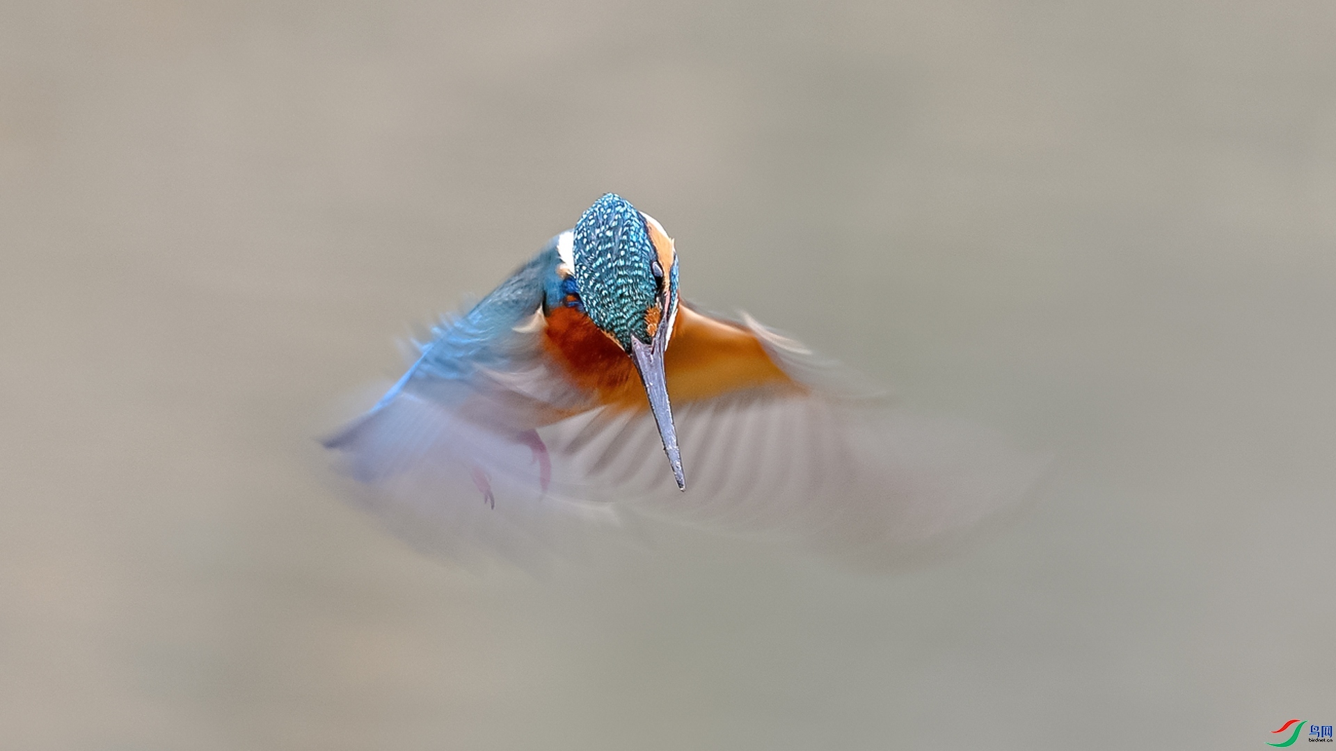 3.12 ��������ʦ��Ʒ  ��ͣ  �ٻ�2026��3��12�ջ�Ա��ҳ����.jpg