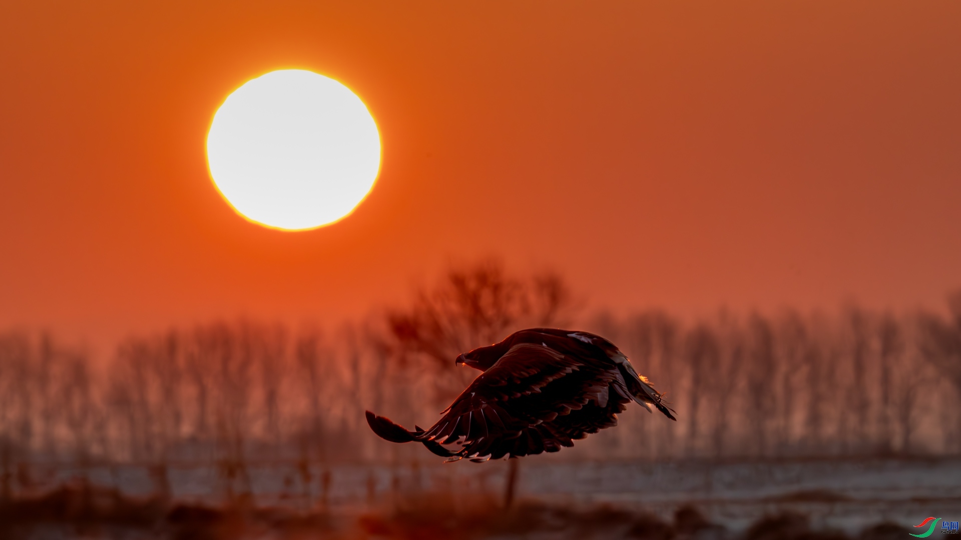 3.12 ������@��ʦ��Ʒ  ��ԭ��  �ٻ�2026��3��12����Ӱʦ��ҳ����.jpg