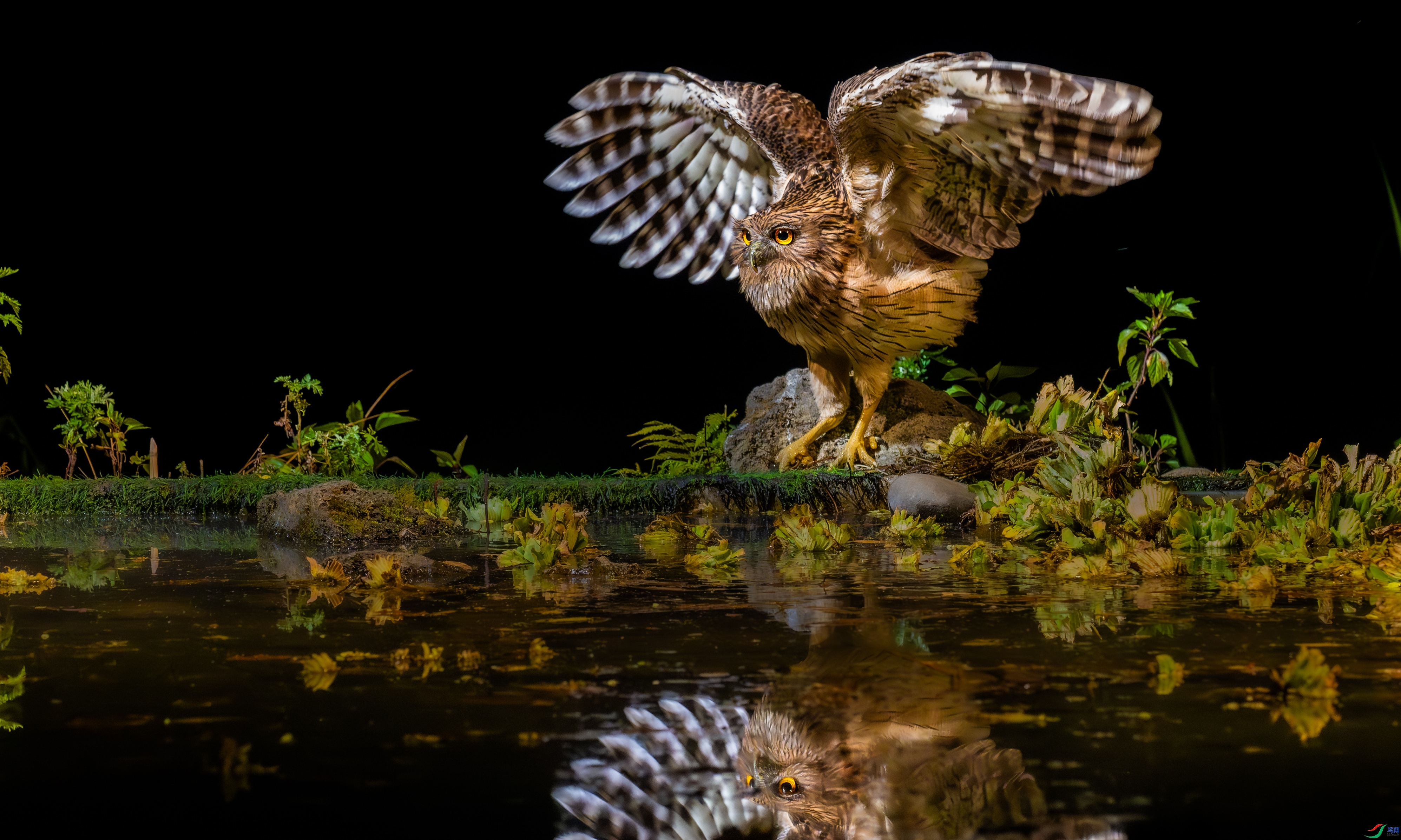 3.12 ��������bj��ʦ��Ʒ  ������Ӱ  �ٻ�2026��3��12�հ�����ҳ����.jpg