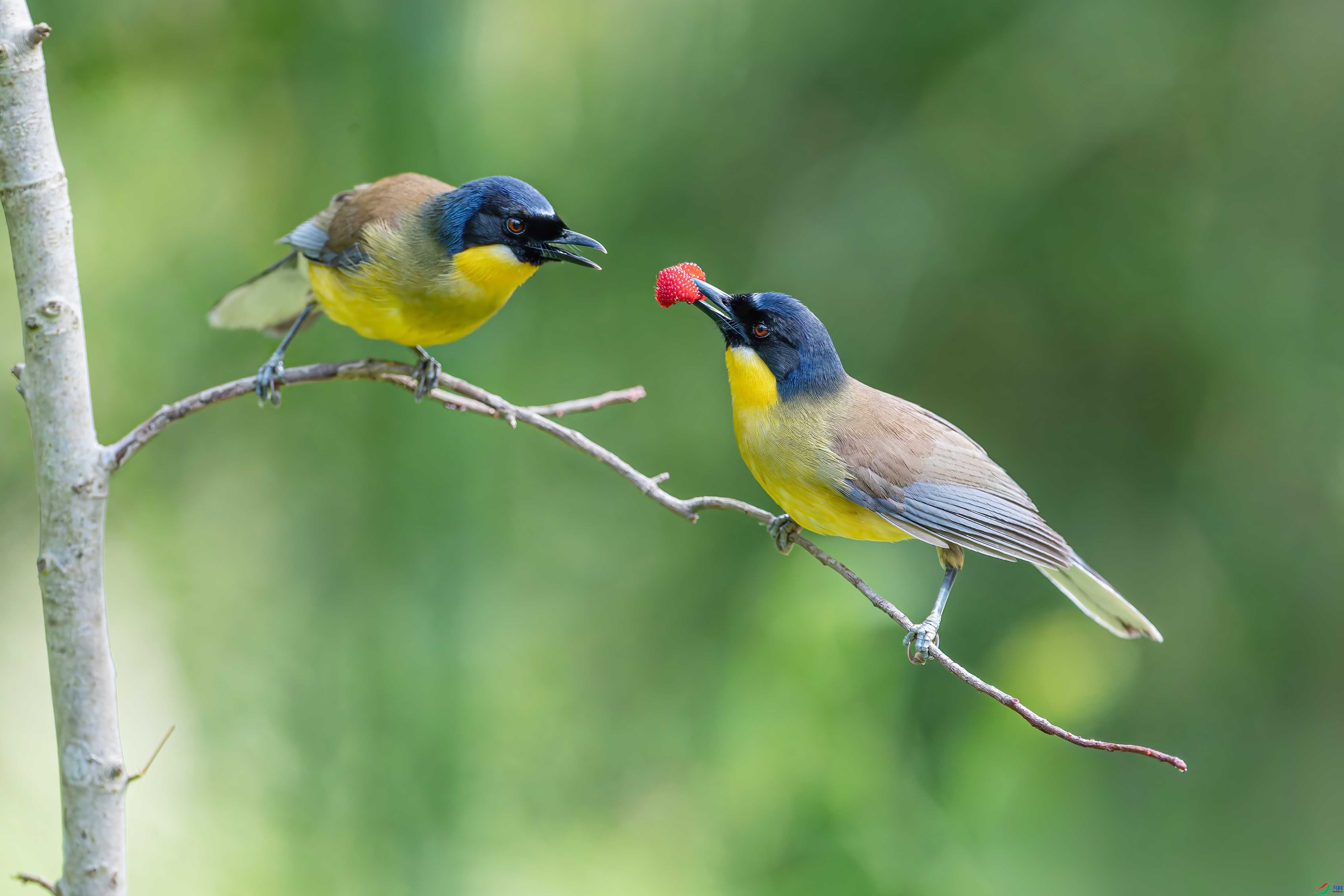 3.14 ����ɽ����ʦ��Ʒ  �װ���  �ٻ�2026��3��14����Ӱʦ��ҳ����.jpg