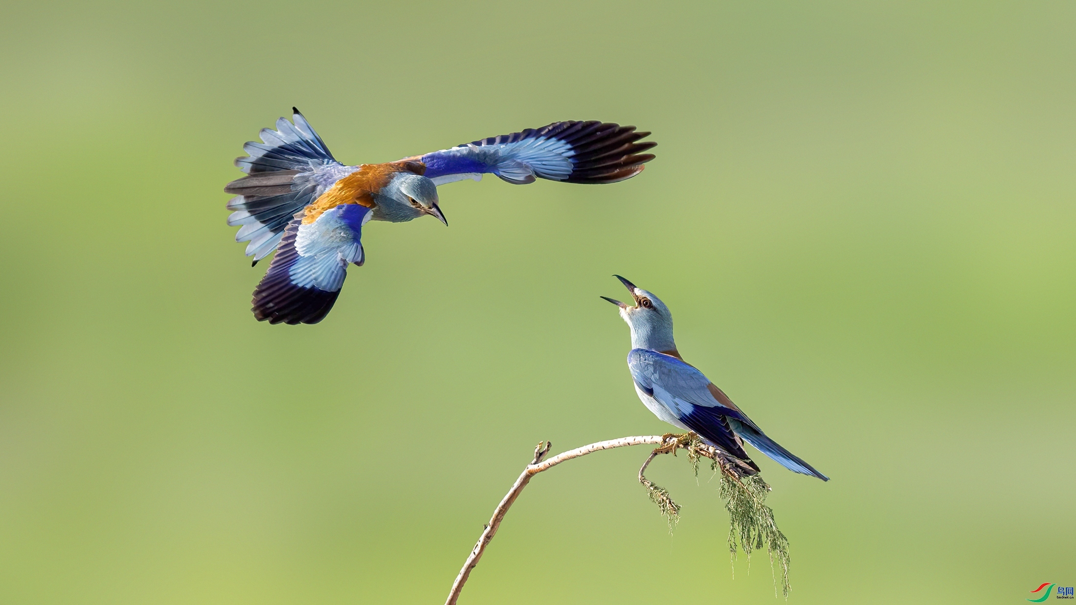 3.13 liujianming��ʦ��Ʒ  ���ط�ɮ  �ٻ�2026��3��13����Ӱʦ��ҳ����.jpg