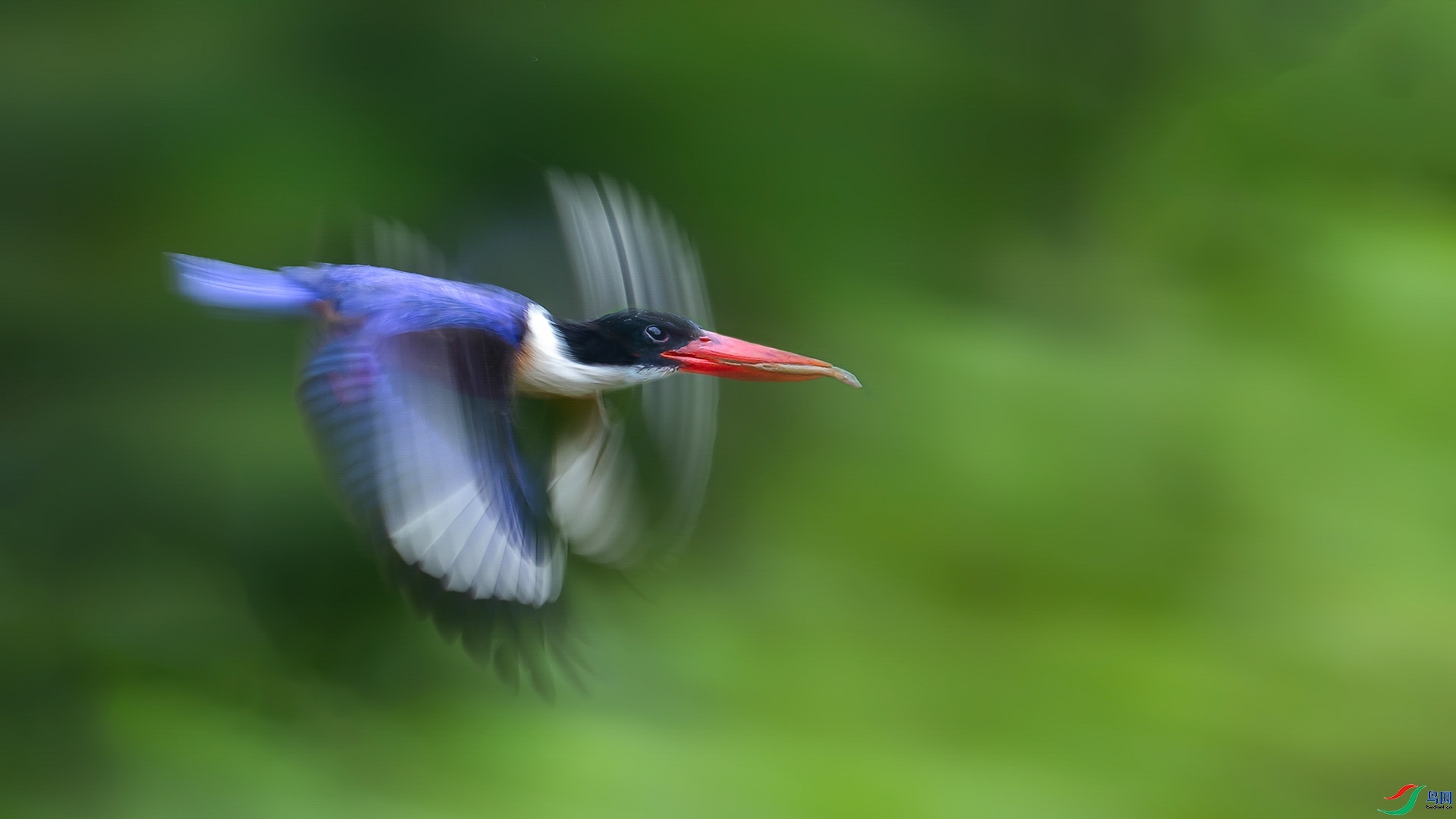 3.15 ��������ʦ��Ʒ  �����  �ٻ�2026��3��15����Ӱʦ��ҳ����.jpg