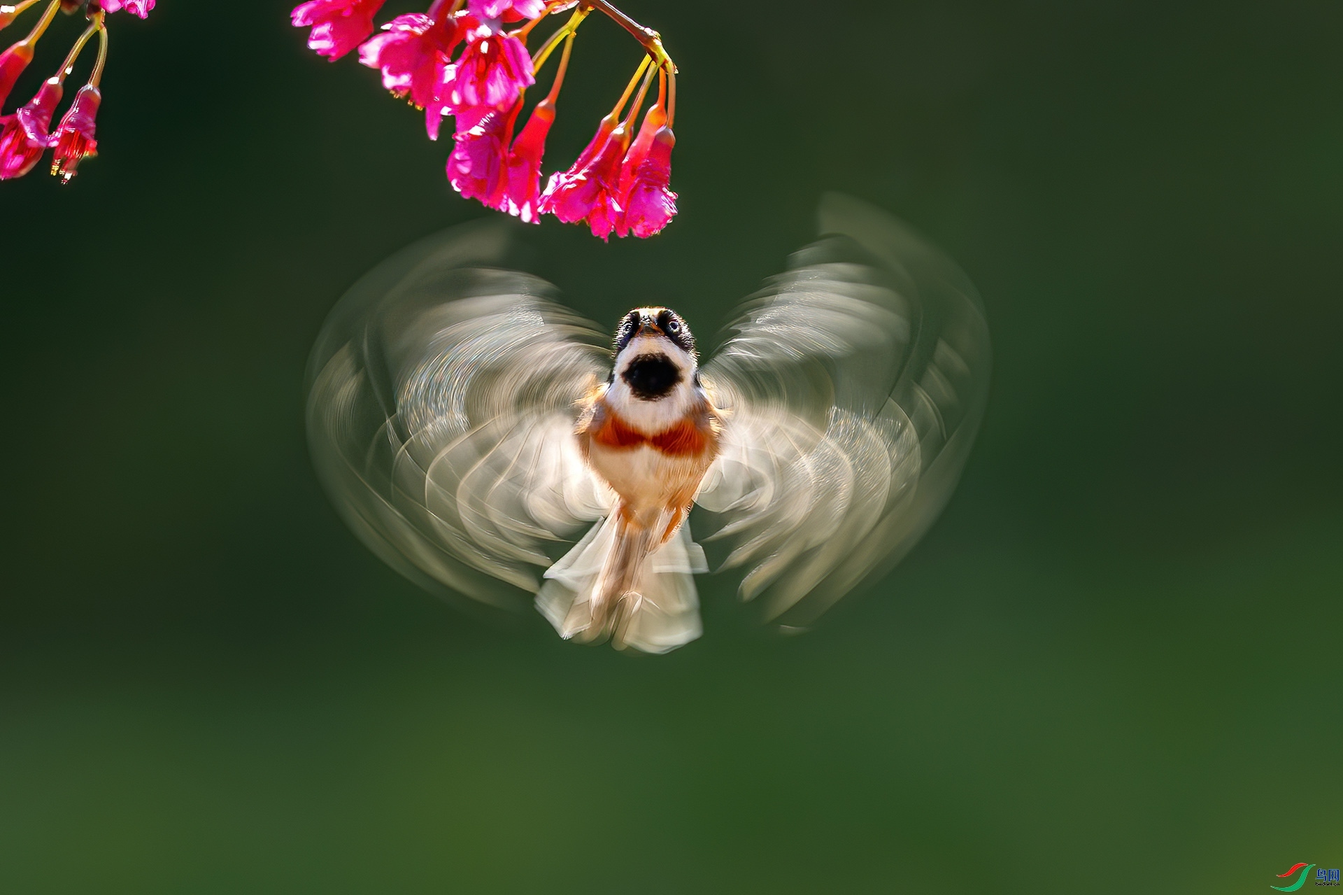 3.15 �ɵ���ʦ��Ʒ  ����  �ٻ�2026��3��15����Ӱʦ��ҳ����.jpg