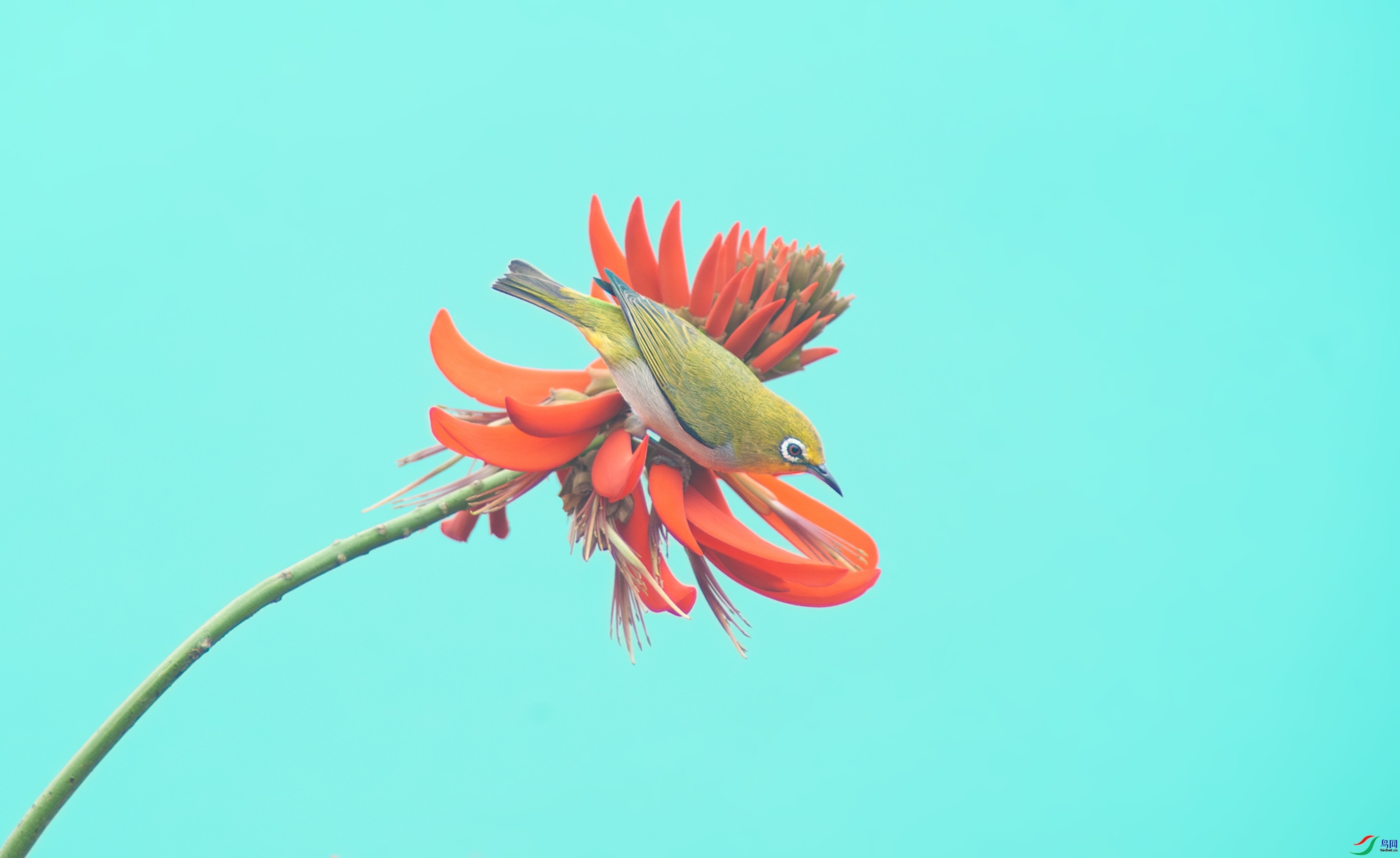 3.14 ӯӯ��ʦ��Ʒ  ��ʢ��  �ٻ�2026��3��14�ջ�Ա��ҳ����.jpg