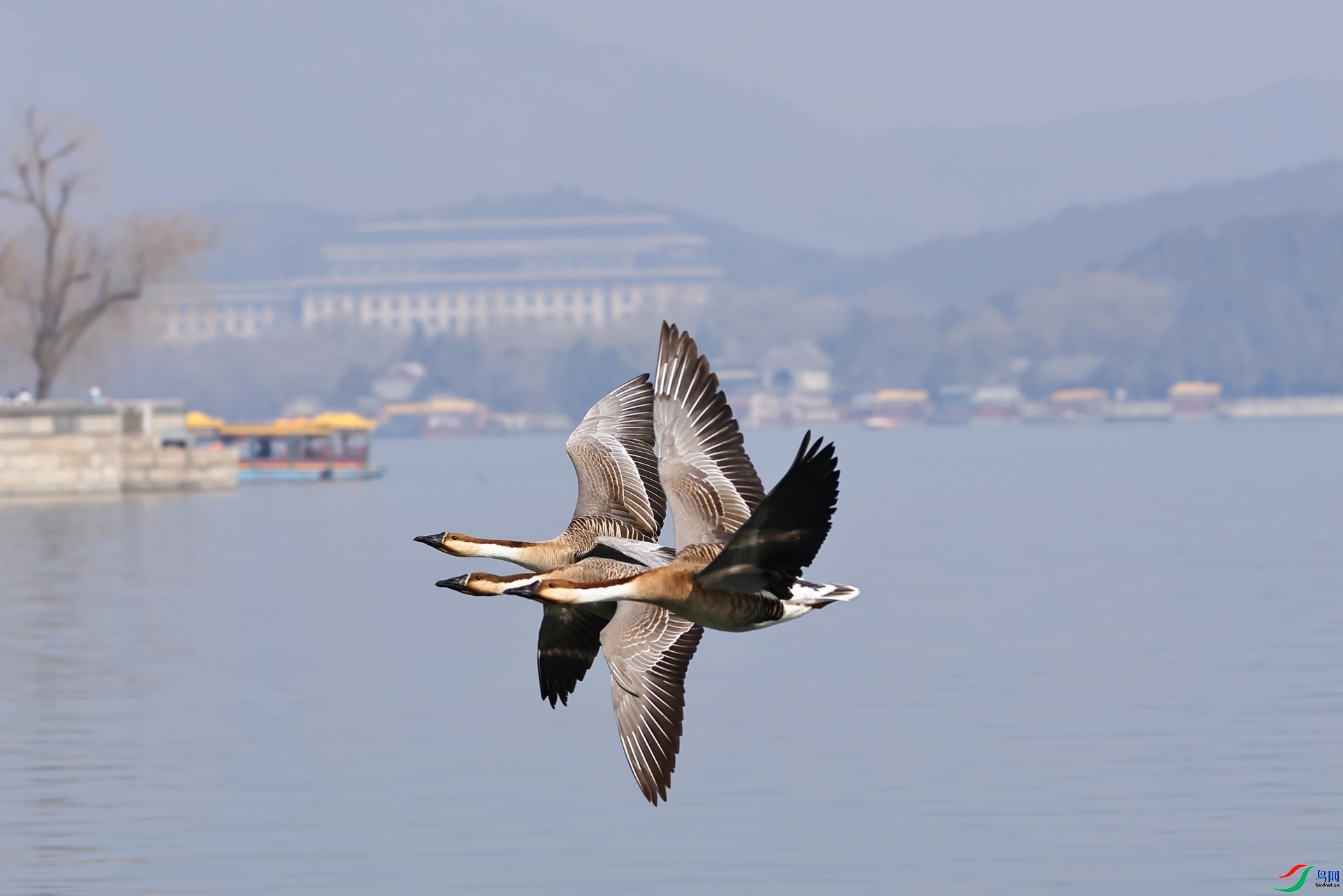 3.16 �������ֺ�θ����ʦ��Ʒ  �������  �ٻ�2026��3��16��ÿ�ռ���.jpg