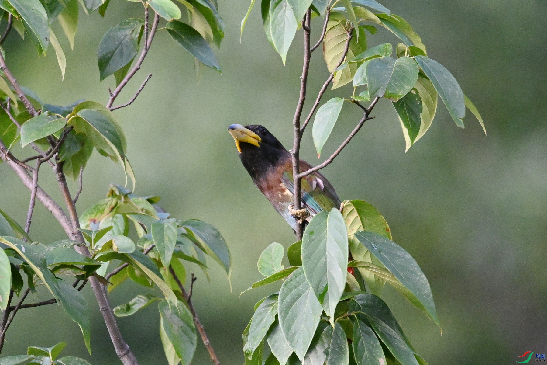 DSC_2481.JPG