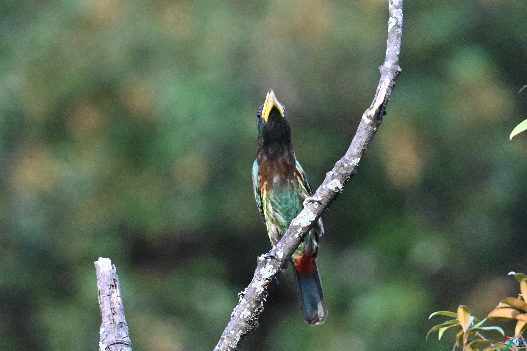 DSC_2509.JPG