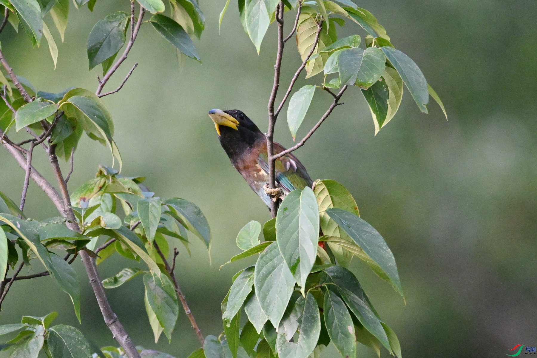 DSC_2482.JPG