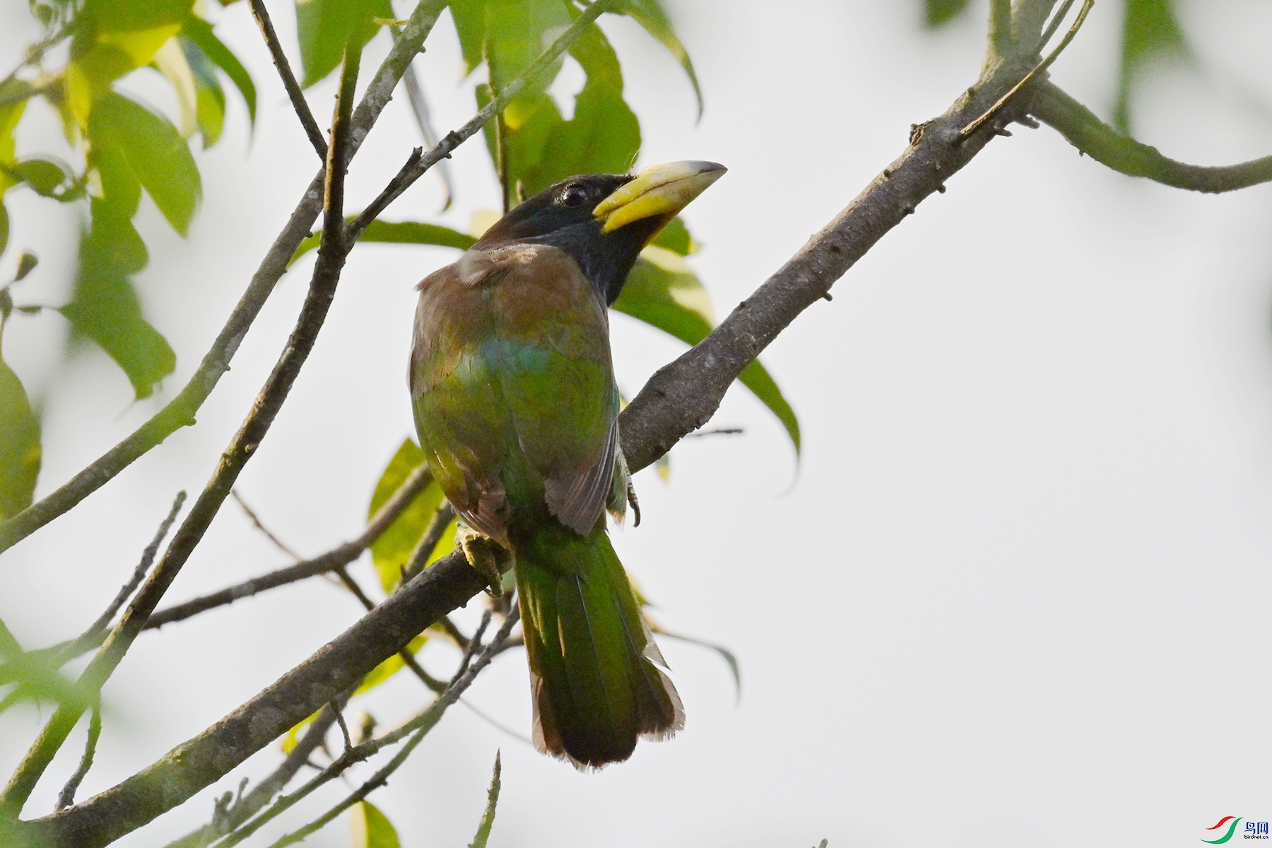 DSC_2497.JPG