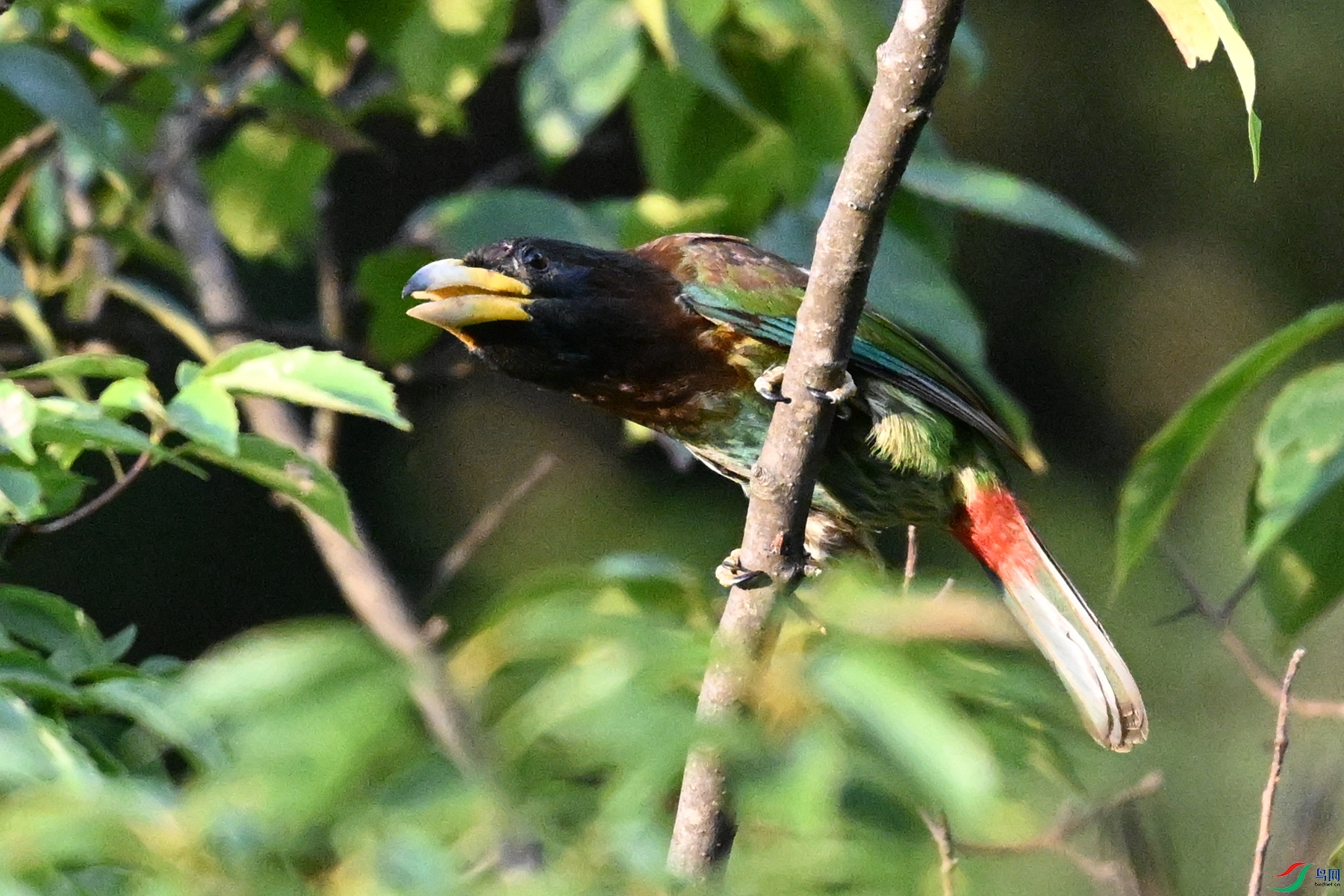 DSC_2498.JPG
