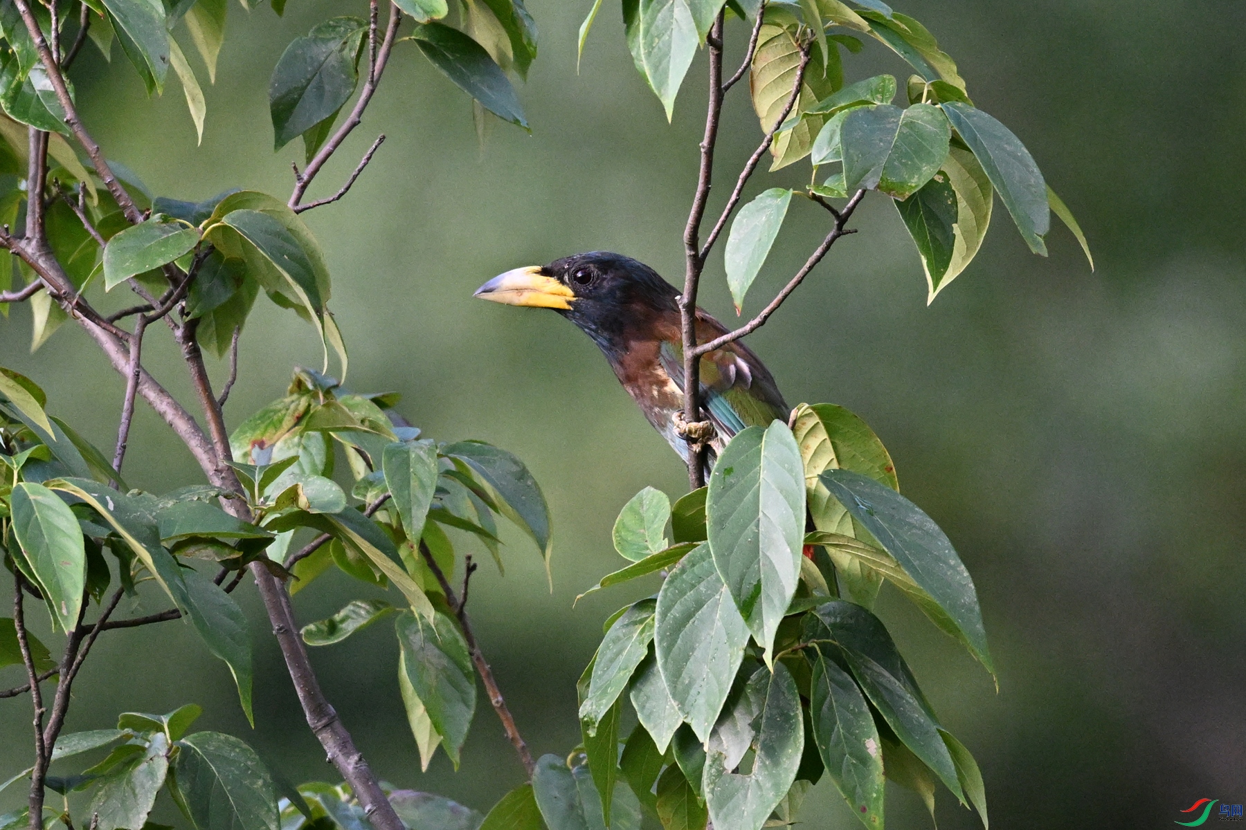 DSC_2484.JPG