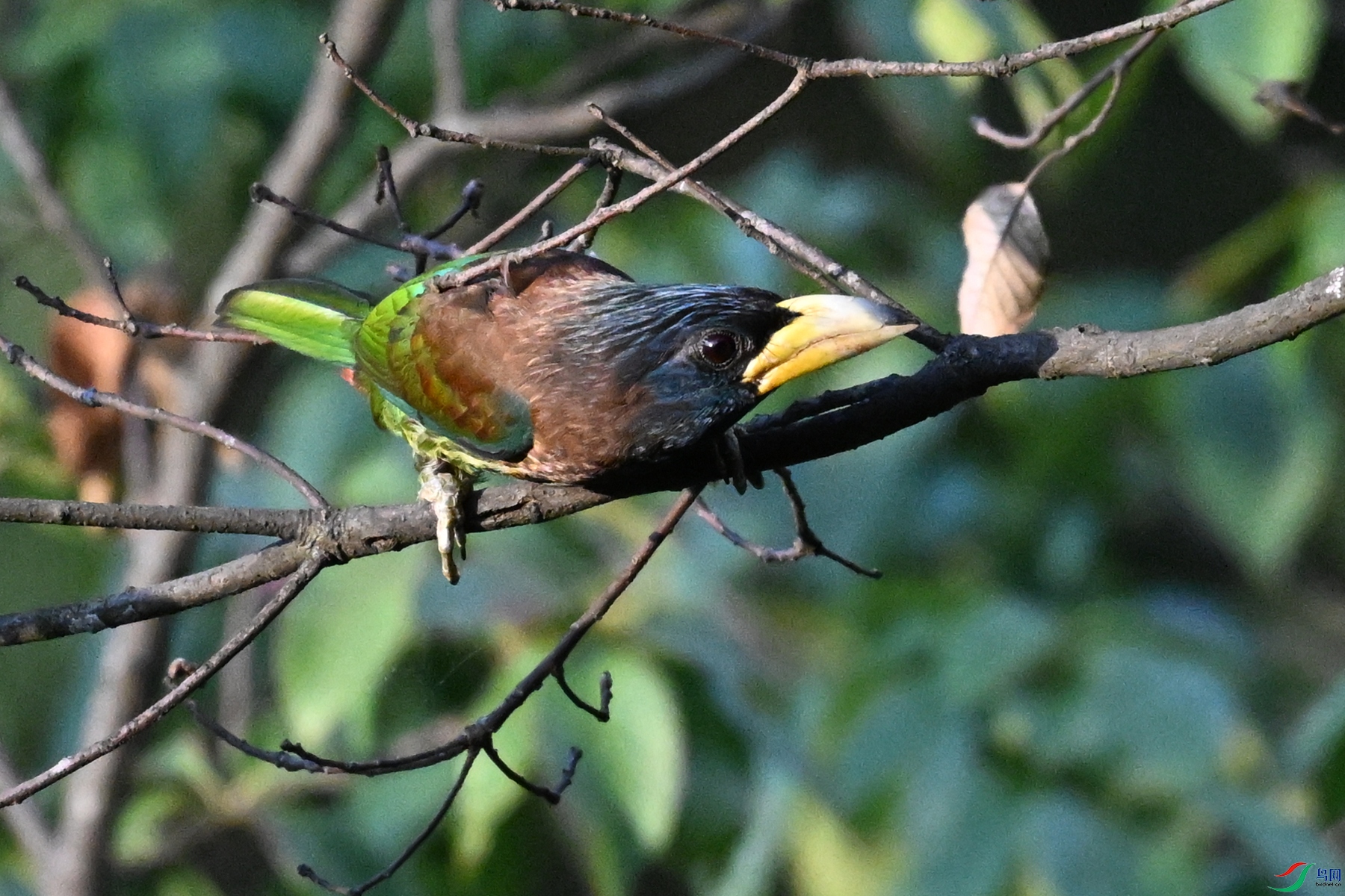 DSC_2506.JPG