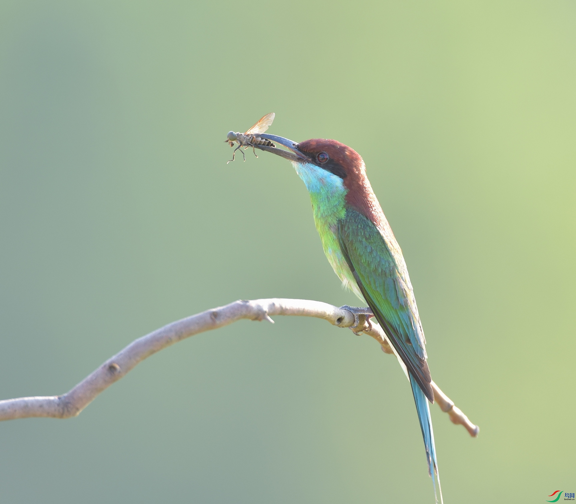 D72_8517.jpg
