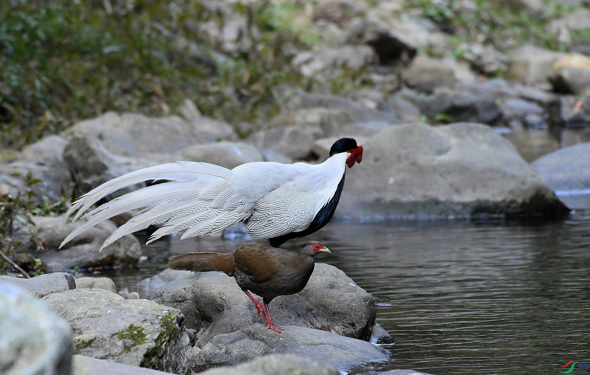 DSC_2192.jpg