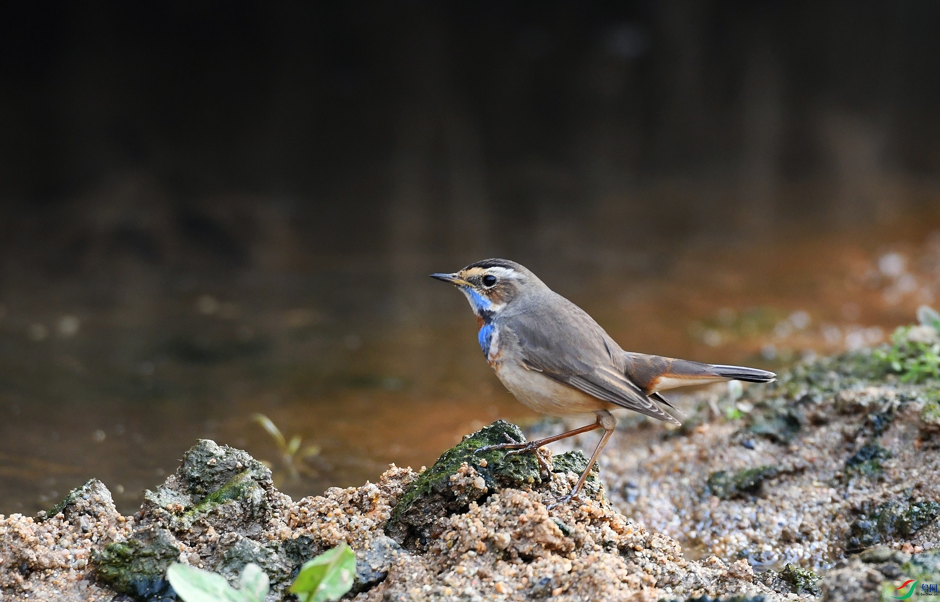 DSC_7284.jpg